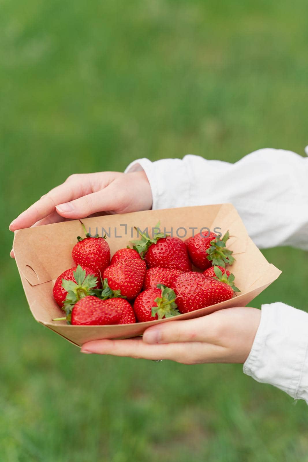 Holding strawberry in hand. Strawberries in disposable eco plate on green background. Seasonal red berry