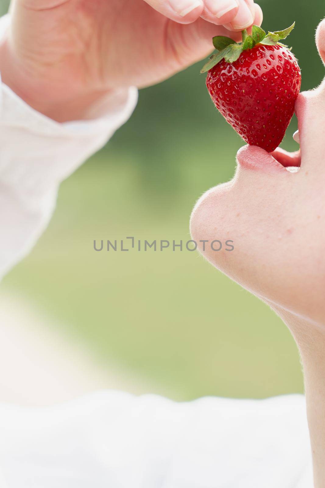 Woman enjoy strawberry close-up. Kisses and tastes strawberry. Seasonal berry.