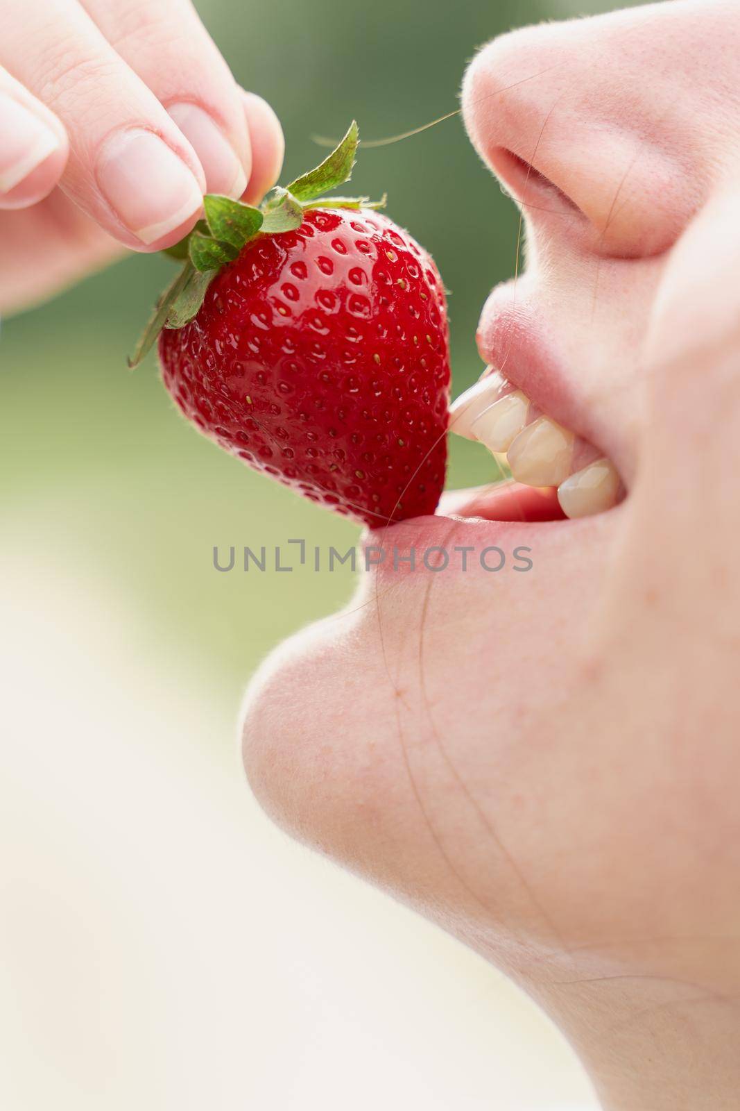 Woman enjoy strawberry close-up. Kisses and tastes strawberry. Seasonal berry by Rabizo