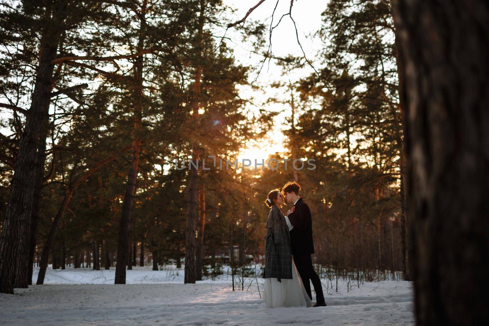 Two lovers standing in a winter forest against the background of the sunset.