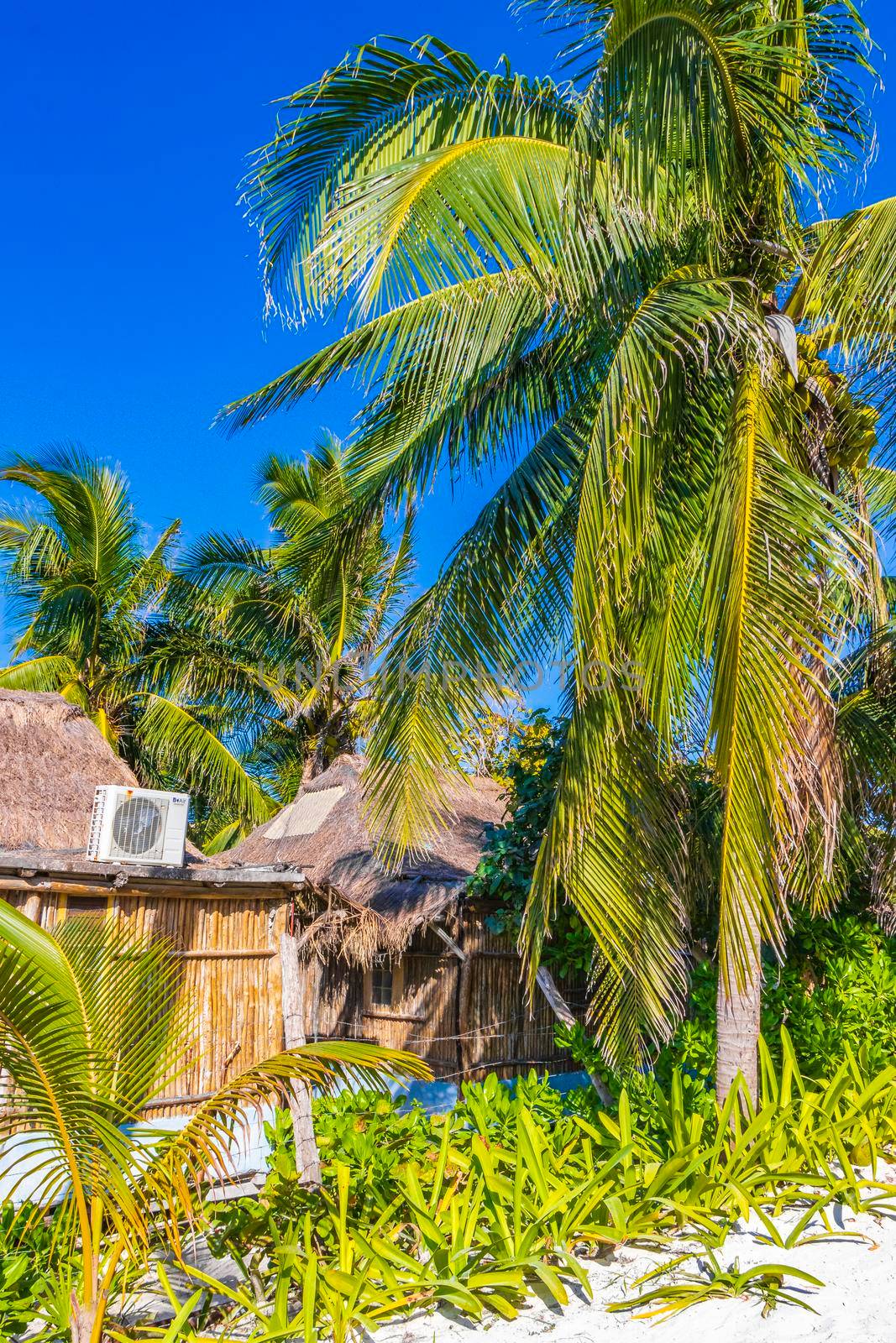 Tropical natural mexican beach panorama with palm trees and huts in Tulum Mexico.