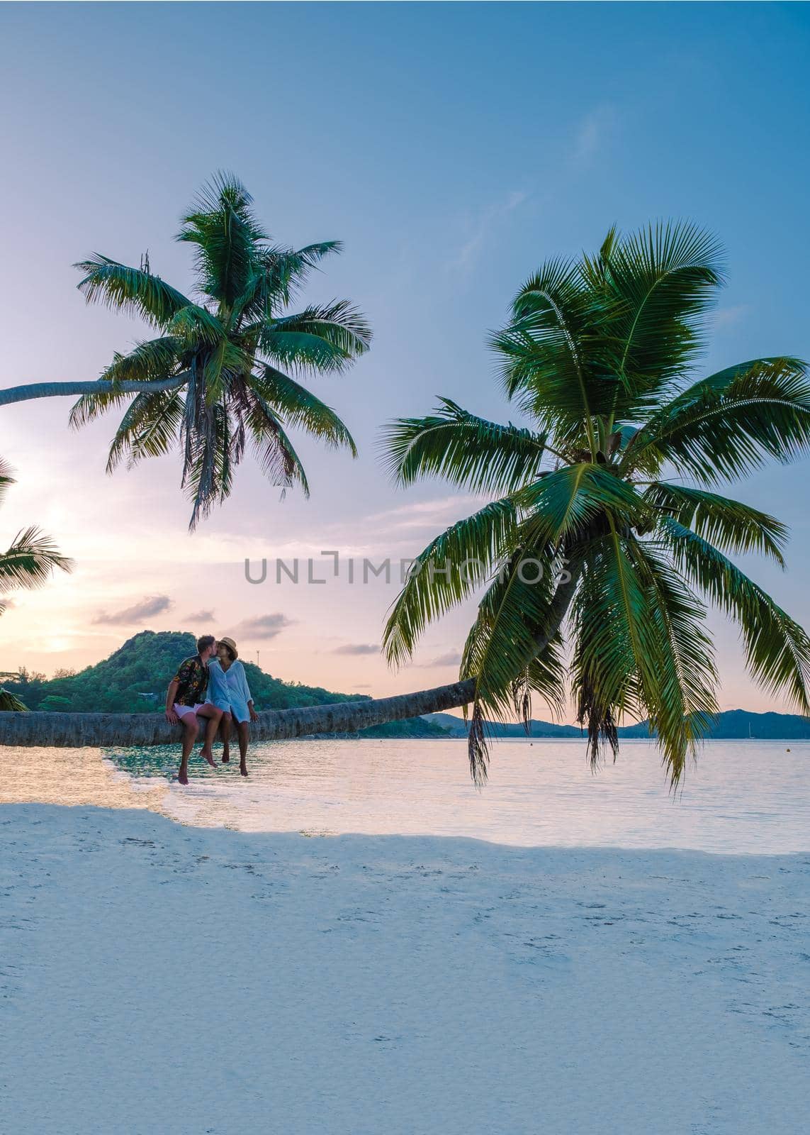 Praslin Seychelles tropical island with withe beaches and palm trees, a couple of men and a woman in with a palm tree at Anse Volber Seychelles. sunset palm tree