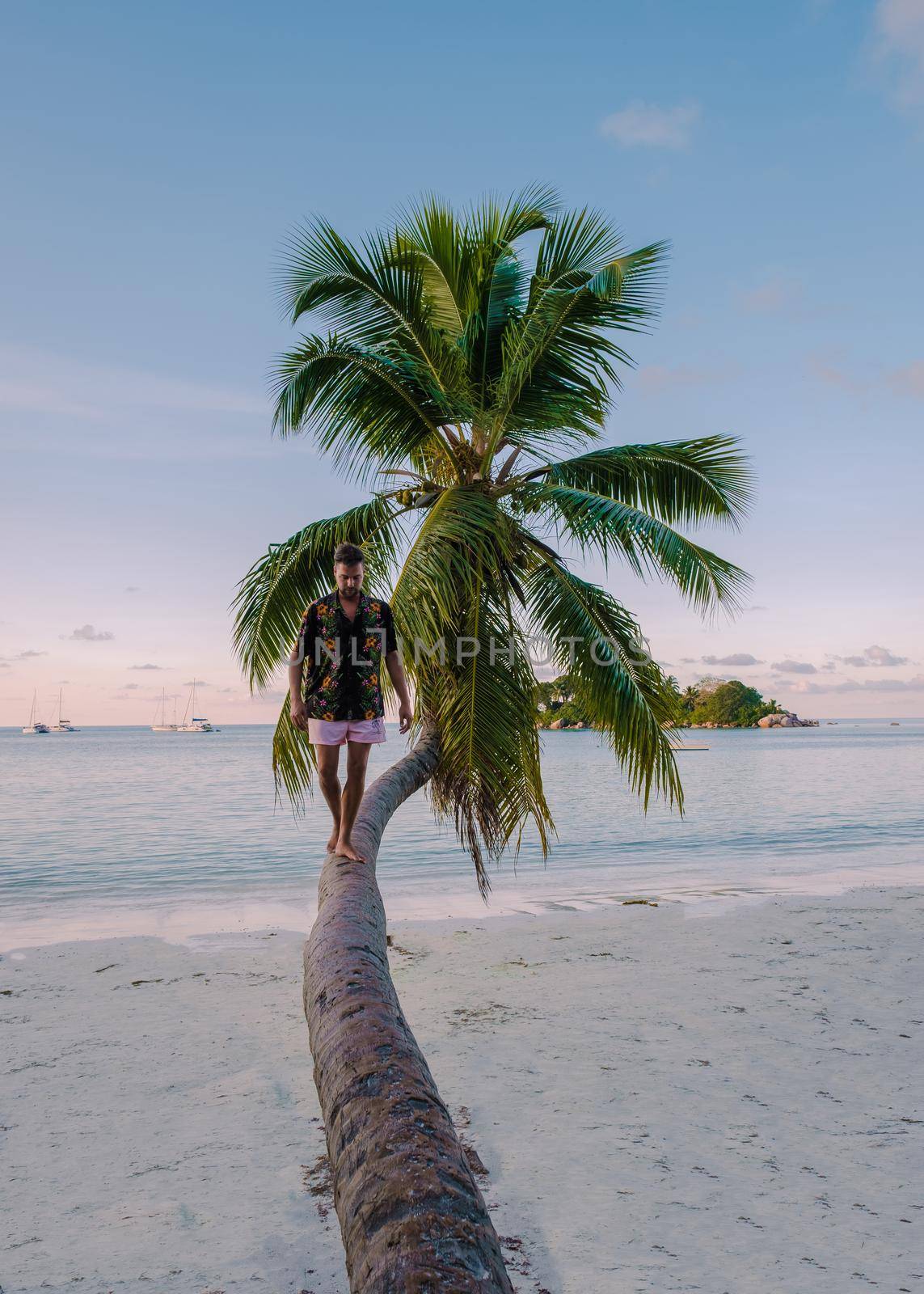 Praslin Seychelles tropical island with withe beaches and palm trees, couple men watching sunset on a palm tree, men walking on palm tree Anse Volbert Praslin Seychelles by fokkebok