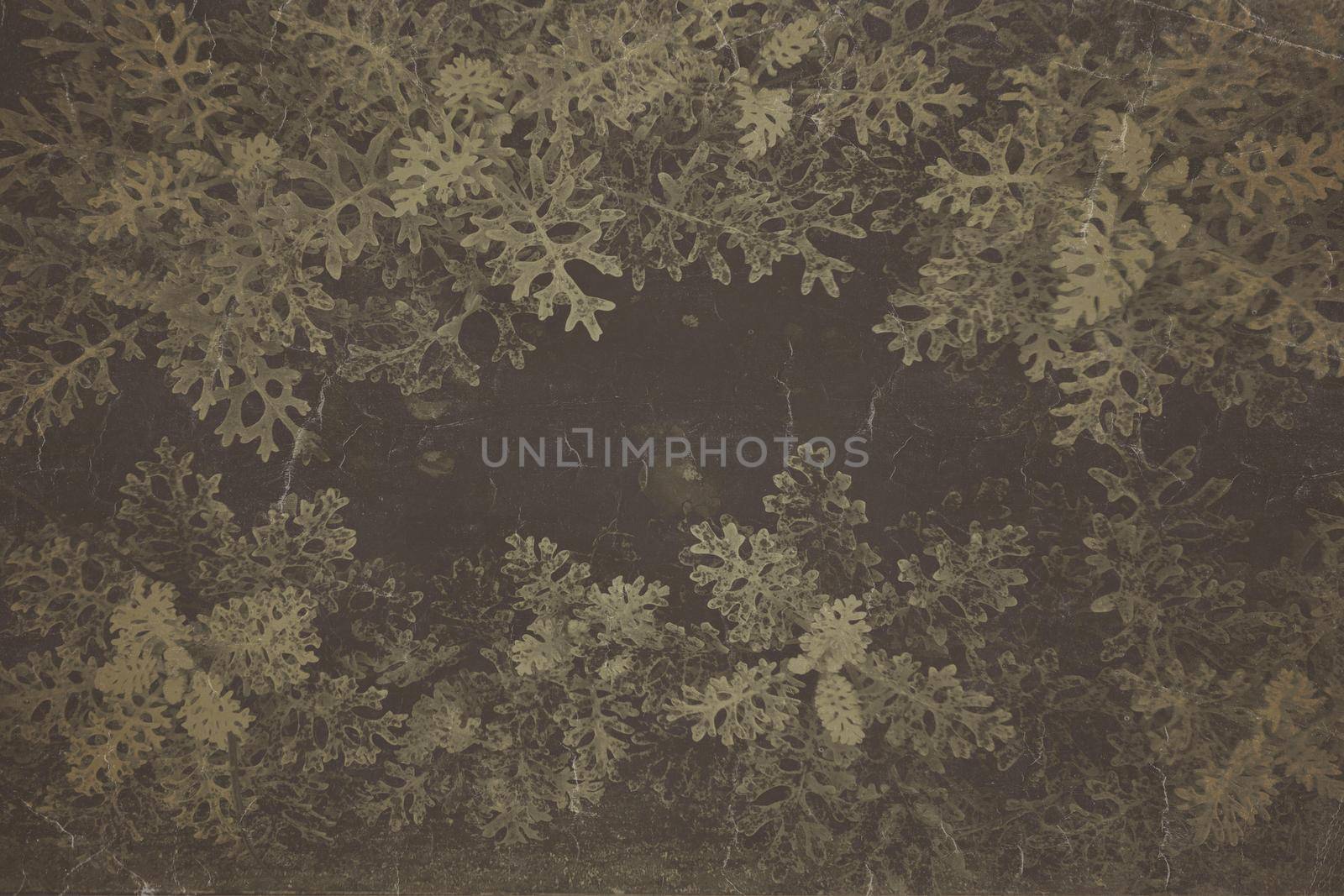 Fine art Vintage Plant texture. Grunge nature floral abstract background. Trendy overlay photographic backdrop with photo old retro filter for create cute family photo, atmospheric child portraits