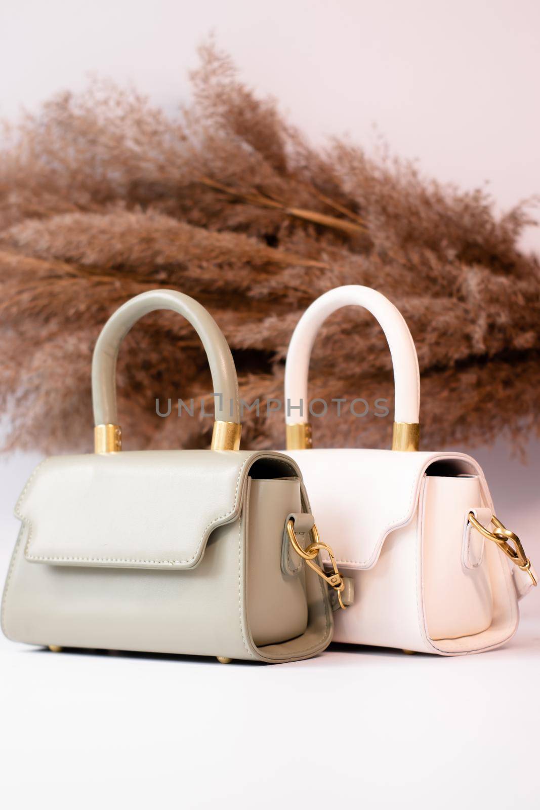 fashion photo of two purse. beige and green woman handbag with gold chain on background of pampas grass or dried flowers. isolated on white background. Product composition photography.