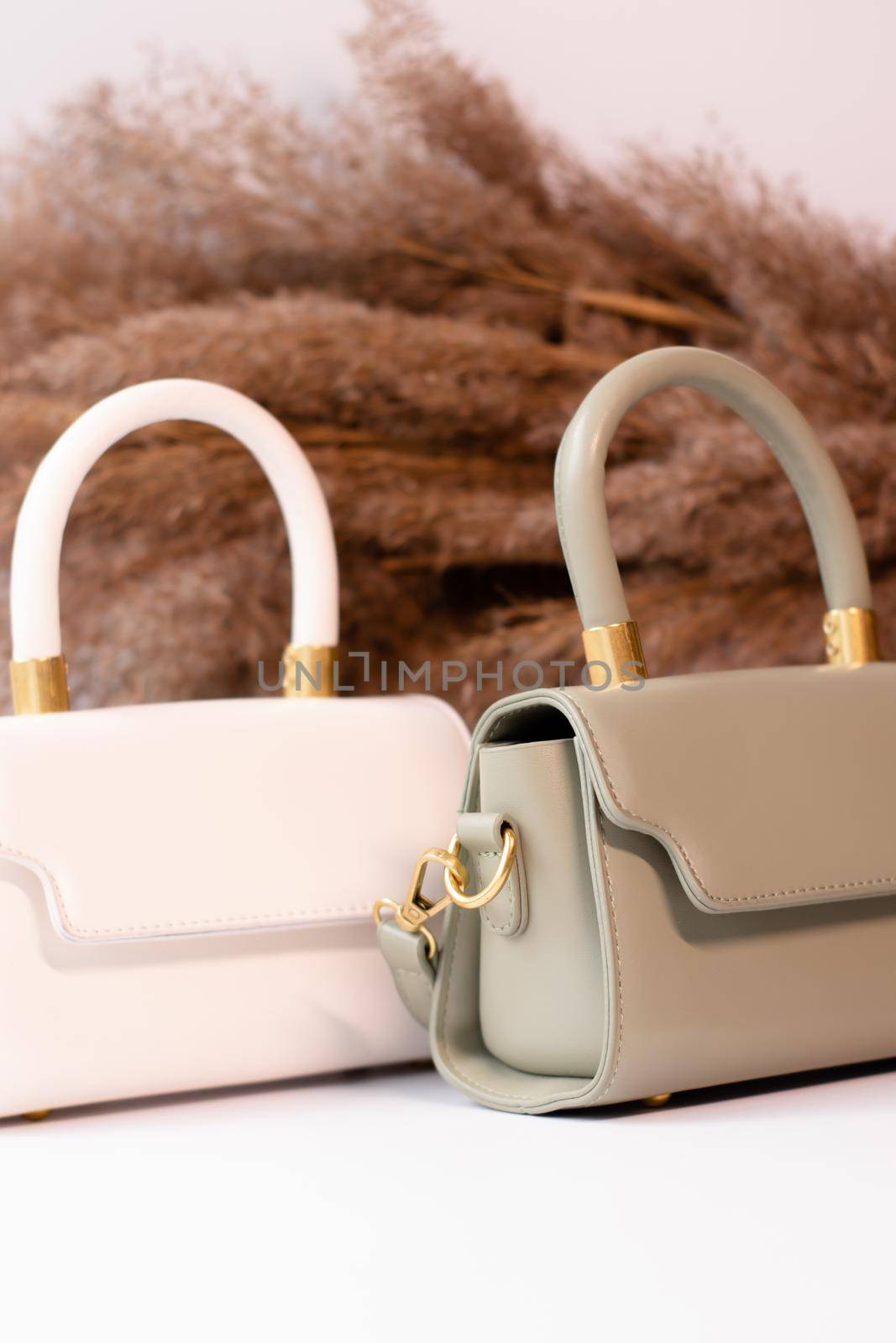fashion photo of two purse. beige and green woman handbag with gold chain on background of pampas grass or dried flowers. isolated on white background. Product composition photography by oliavesna