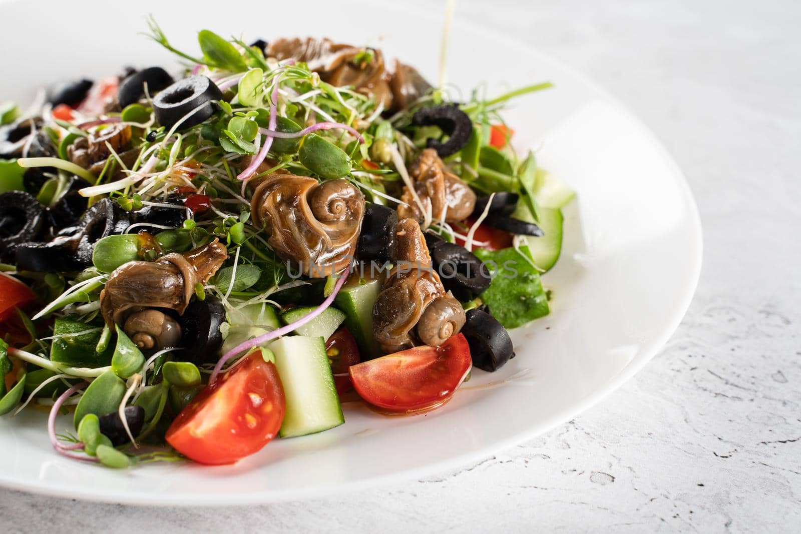 Green salad with escargot grape snails on white background. French gourmet cuisine by Rabizo