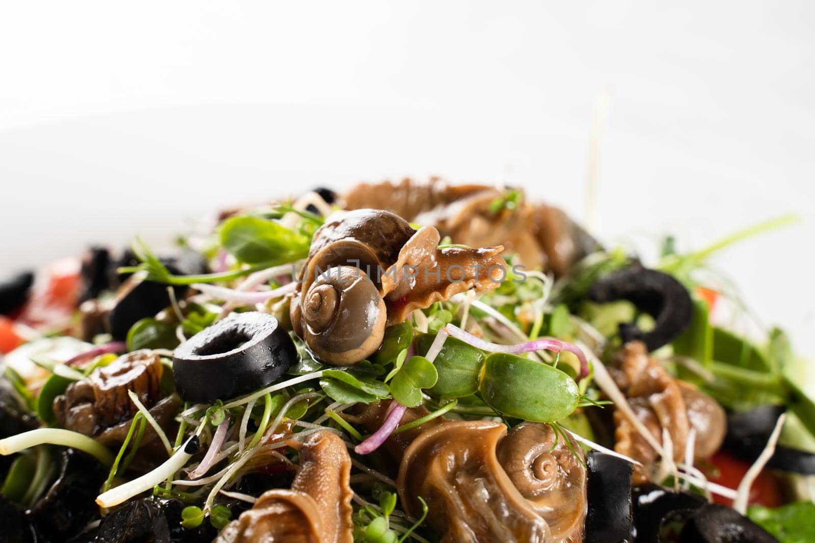 Close-up green salad with snails on white background. French gourmet cuisine.