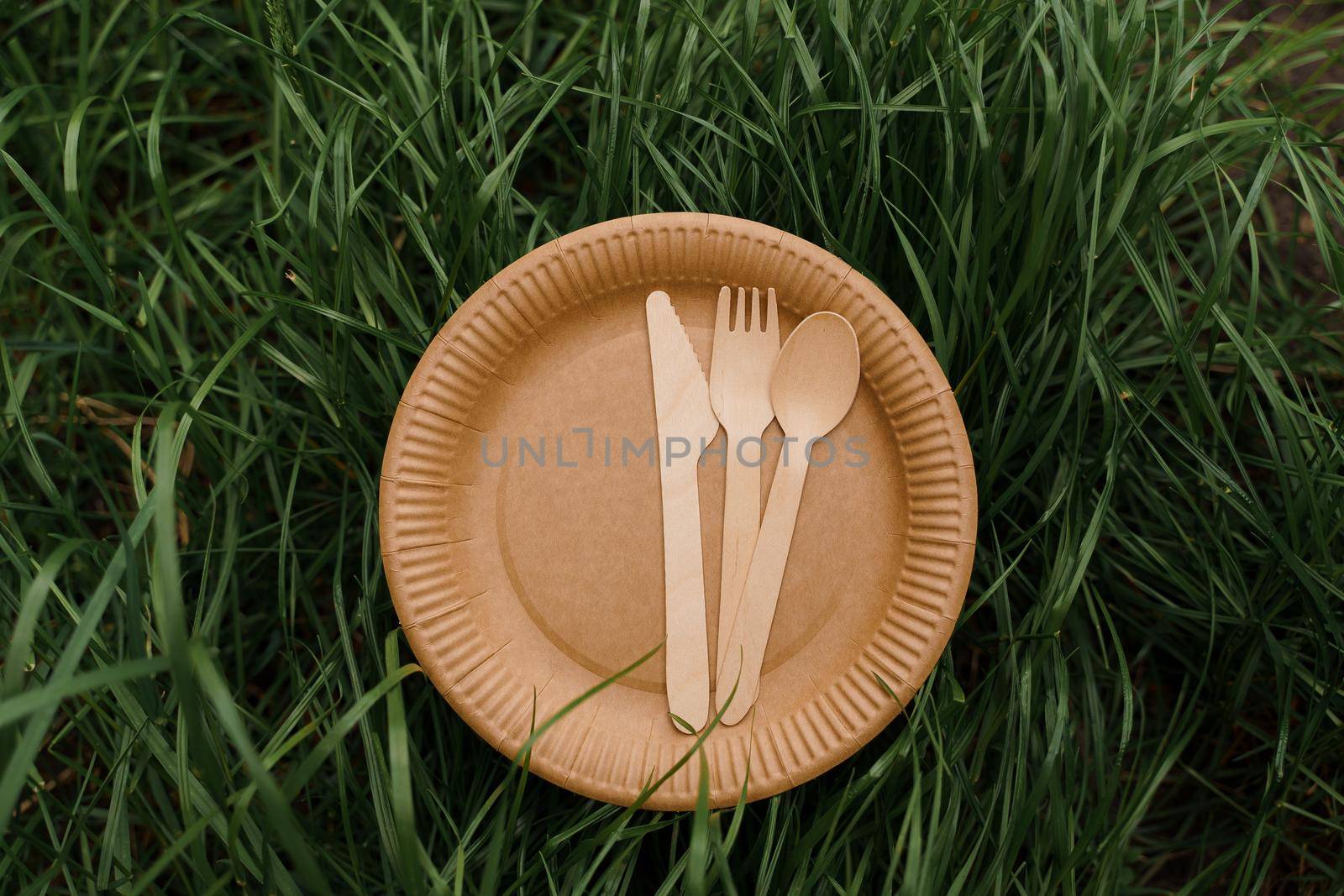 Eco-friendly natural plate with spoon, fork, knife. Set of disposable ecological dishes on green grass background. Sustainability of planet