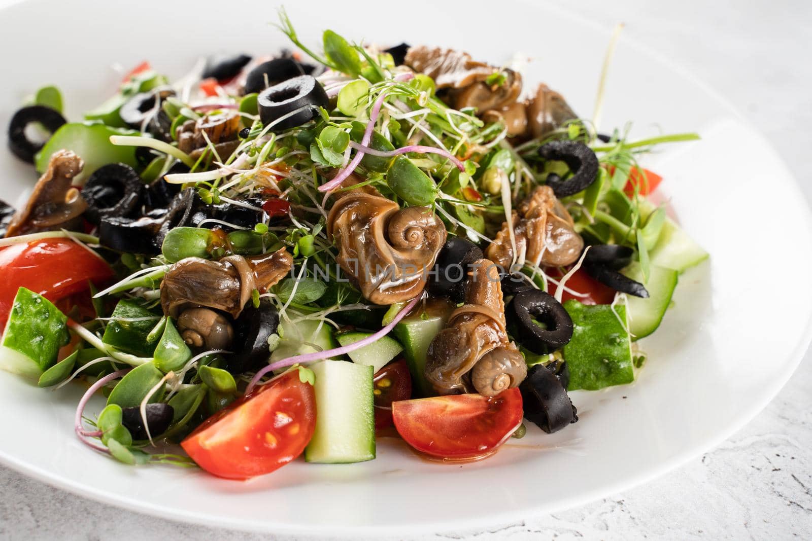 Green salad with snails on white background. French gourmet cuisine.