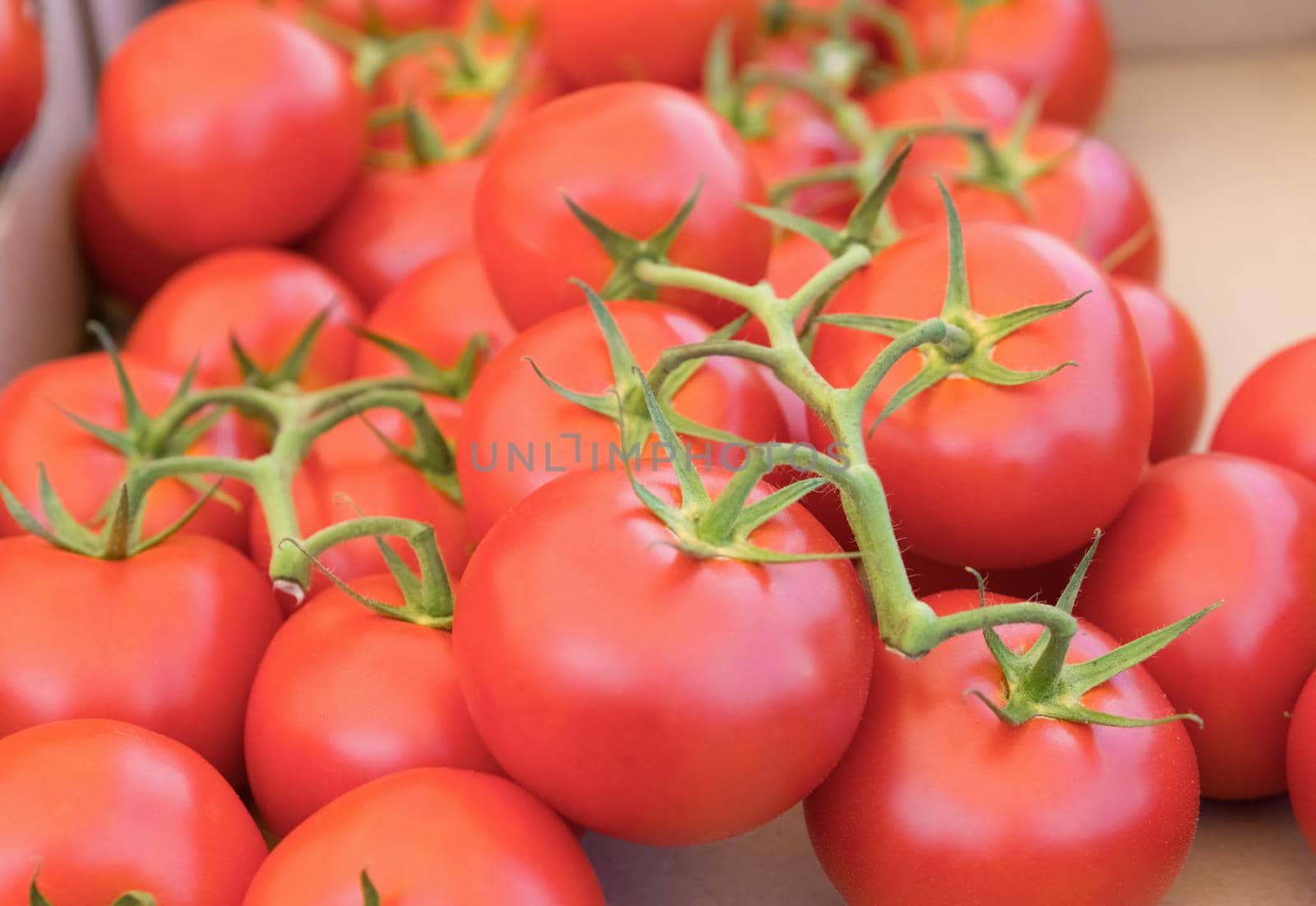 A bunch of red tomatos on the market