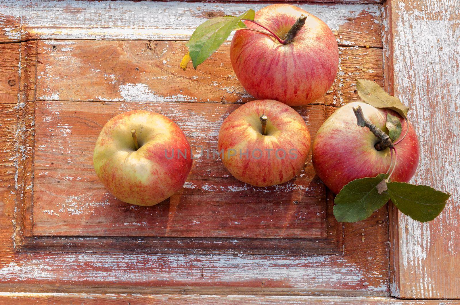 Autumn apples on old wooden background. Rustic style.. Rustic style. by zimages