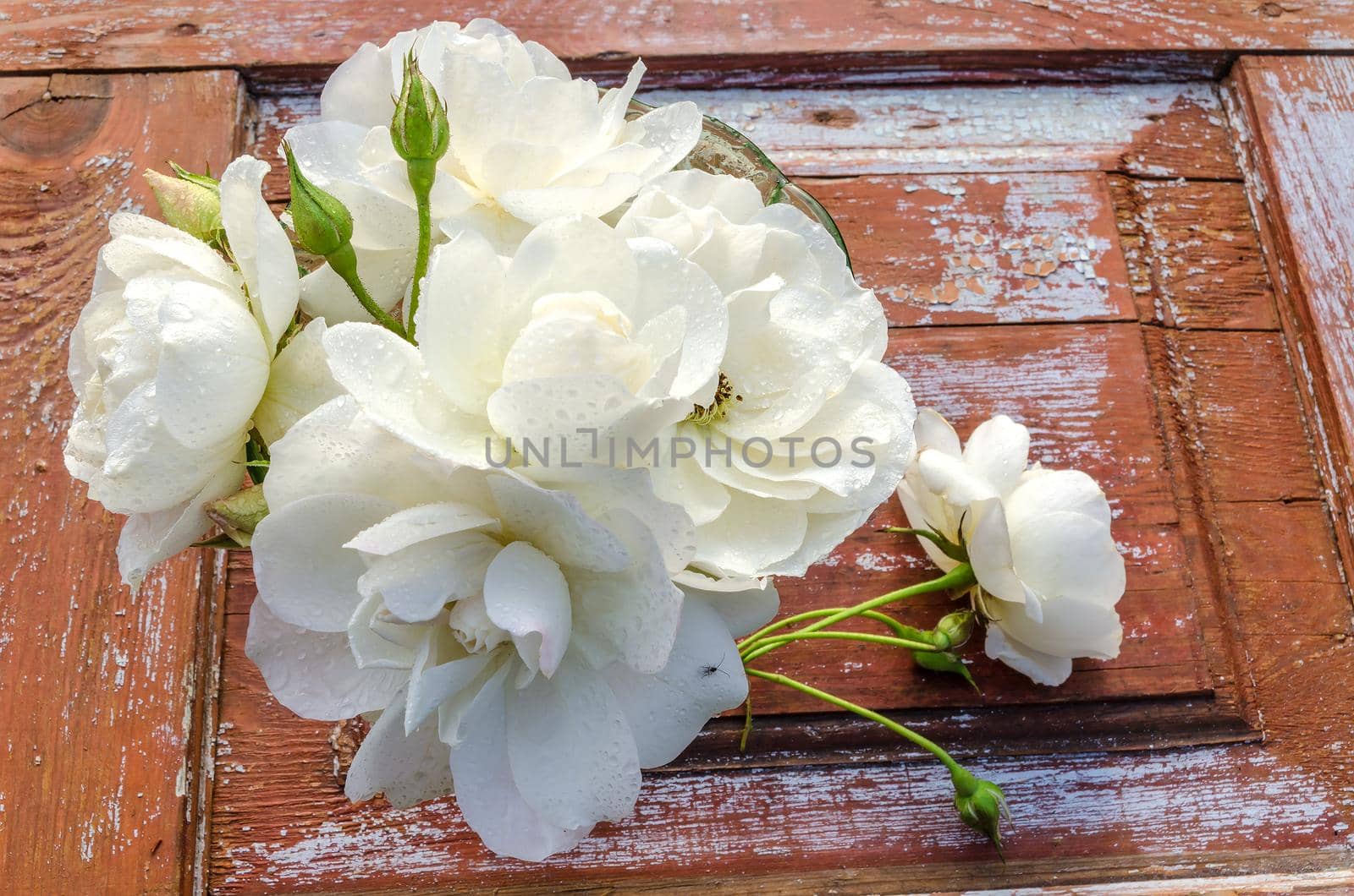 Beautiful bouquet of roses with drops on old wooden table. After the rain. Overhead view. Rustic style.