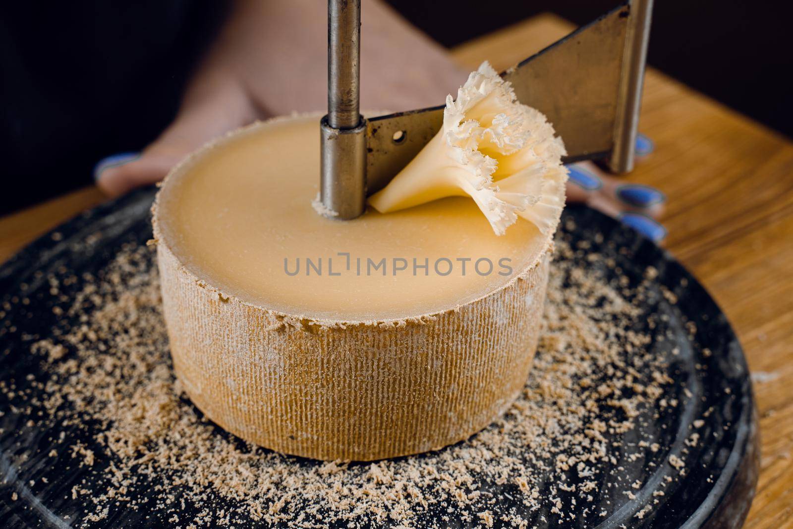 Shaving tete de moine cheese using girolle knife. Monks head. Variety of Swiss semi-hard cheese made from cows milk.