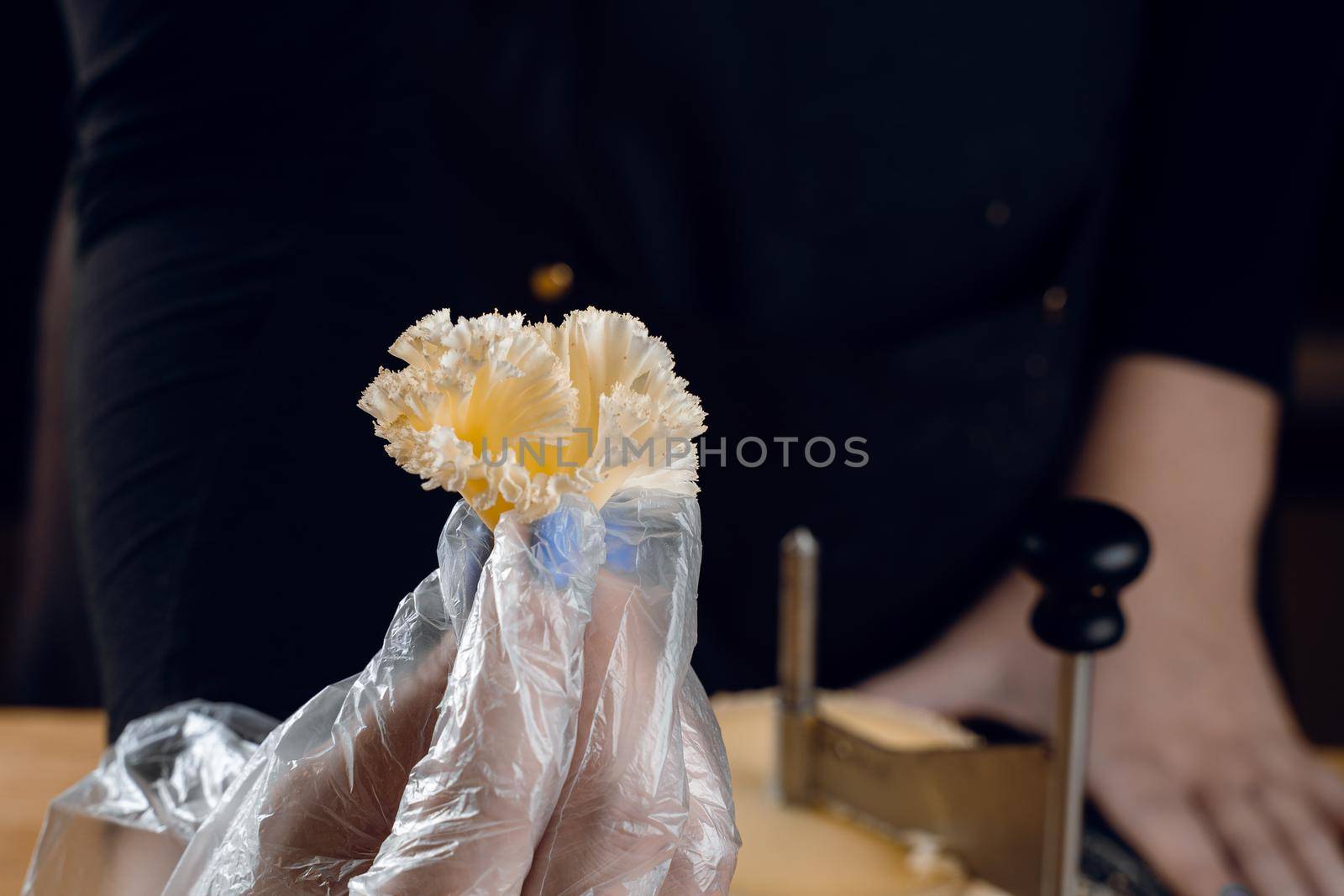 Shaving tete de moine cheese using girolle knife. Monks head. Variety of Swiss semi-hard cheese made from cows milk.