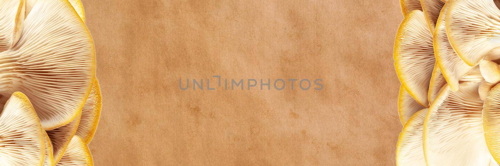 Oyster mushrooms on kraft paper background, banner, concept