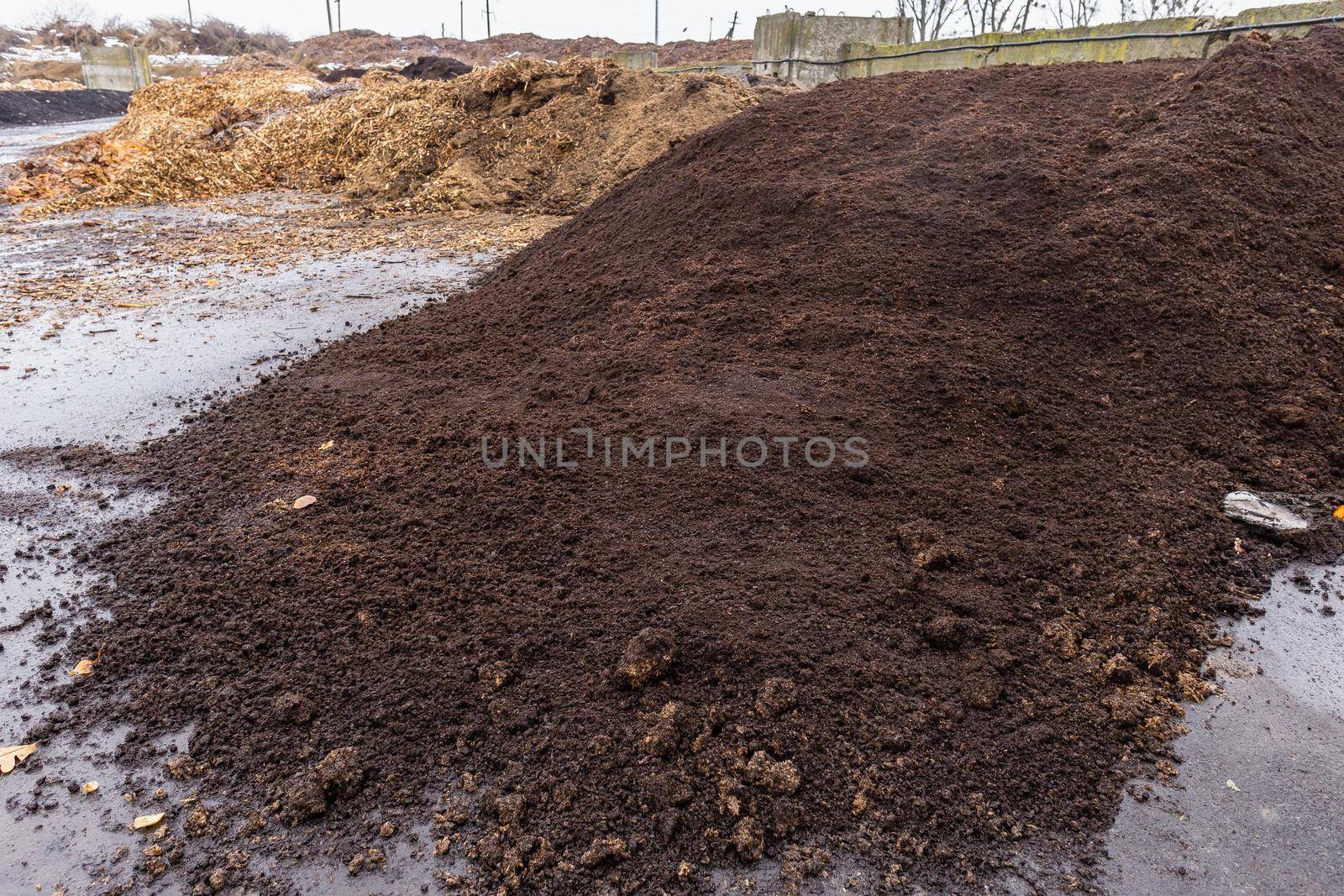 Large heap of used coffee grounds at compost sorting and recycling station. Separate organic waste collection and compost
