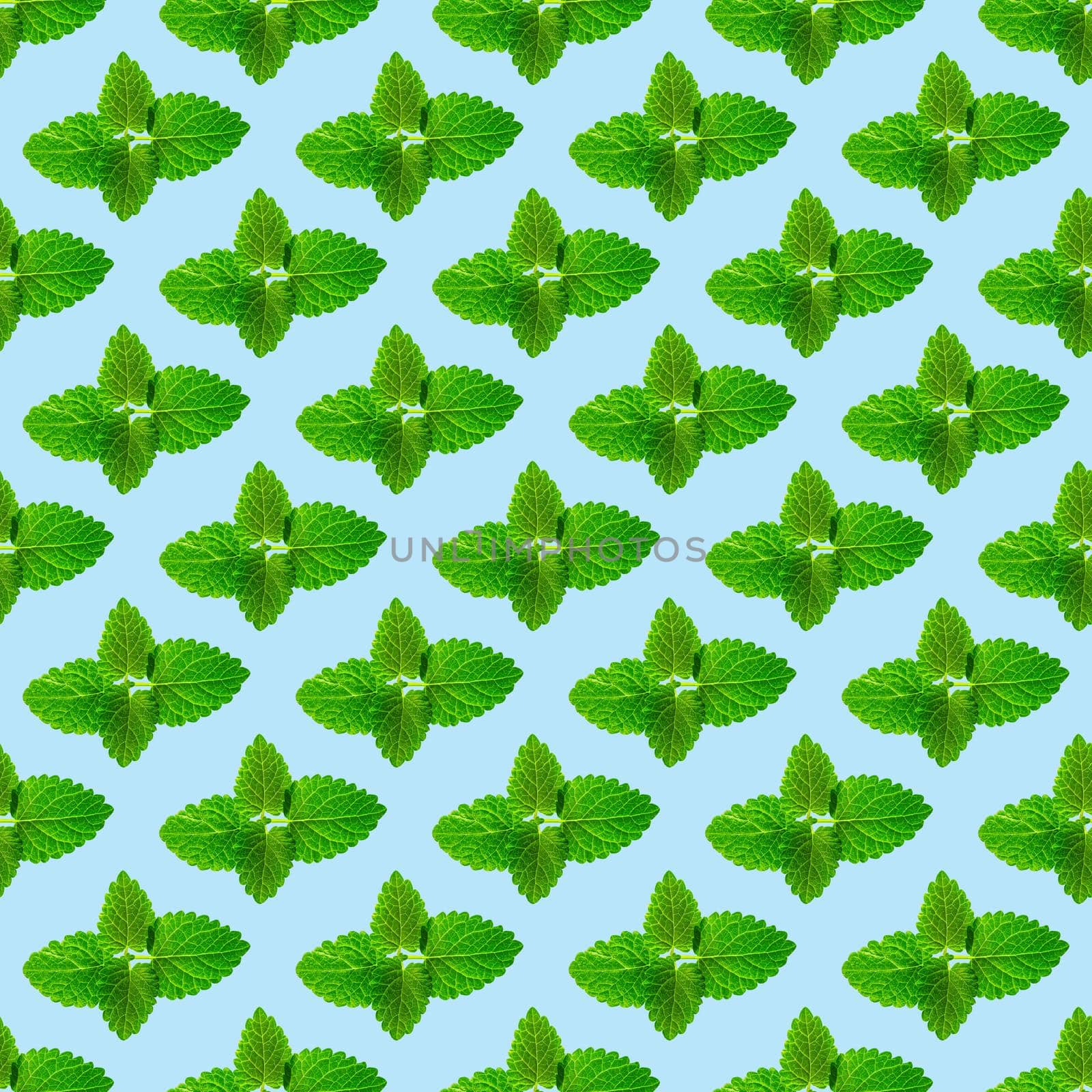 Seamless pattern of fresh mint leaves on blue background for packaging design. peppermint abstract background.