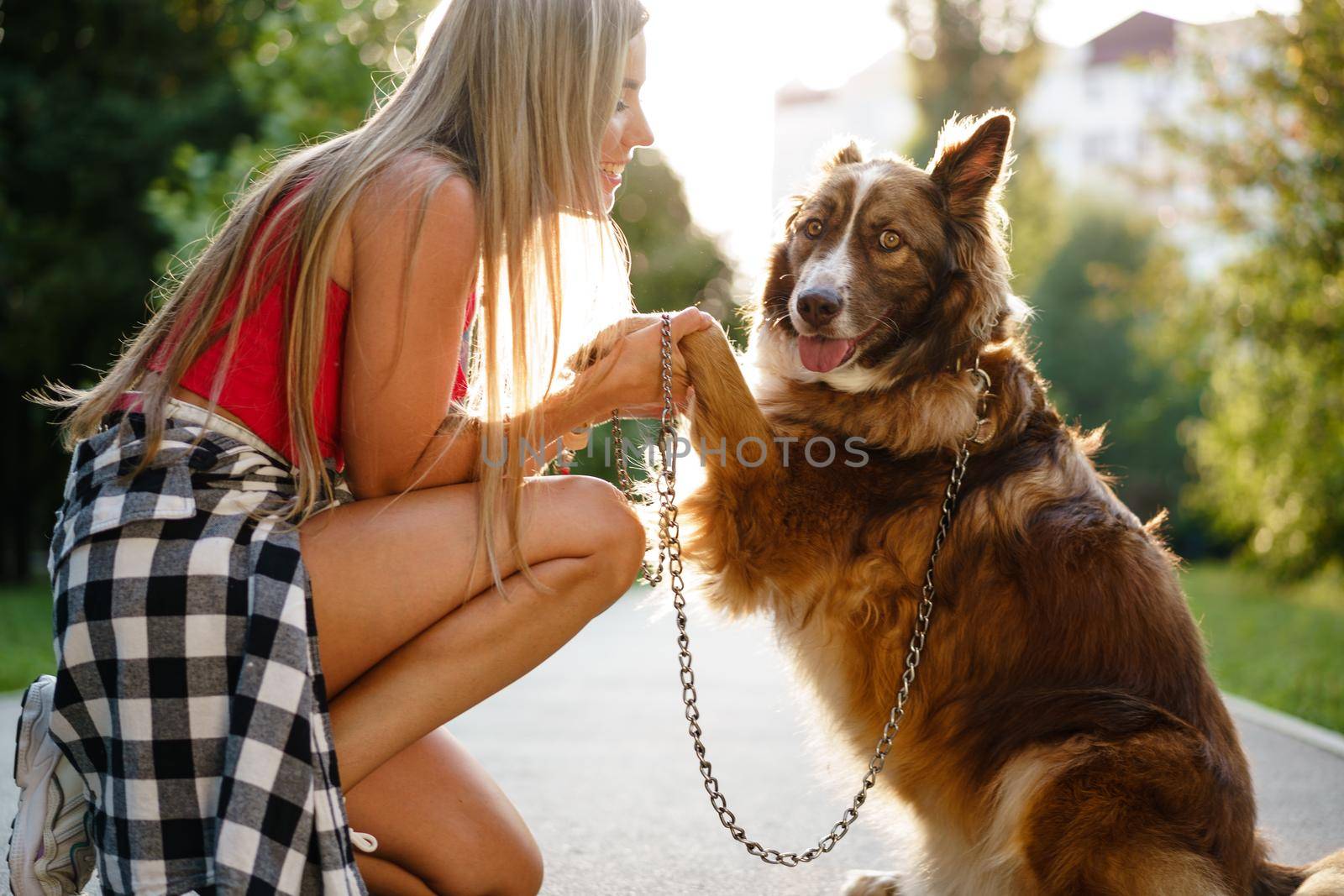 Young woman and Border Collie dog spending time in park by Fabrikasimf