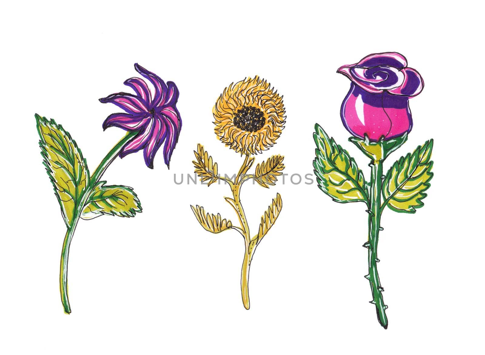 Abstract flowers in doodle style on white background. Lily, sunflower, rose - summer flowers. Pen marker illustration.