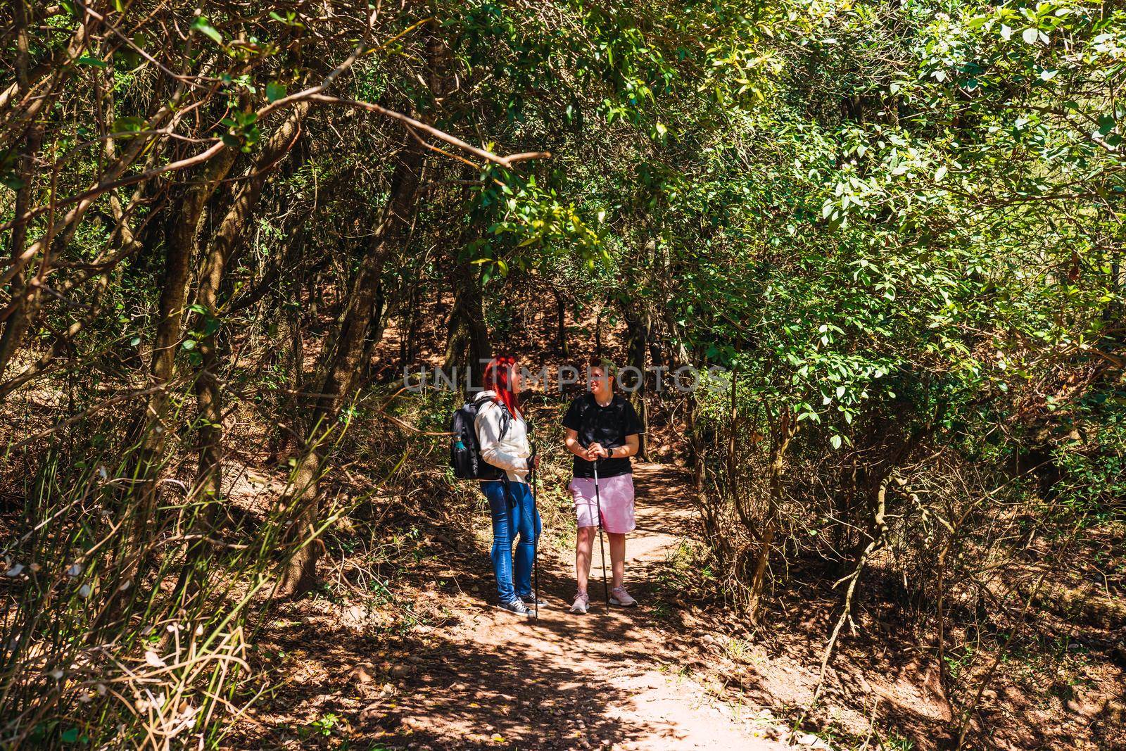 two friends walking and hiking on a mountain trail. young people on holiday. women doing sport. tourists hiking in nature. hiking poles and mountaineer's backpack. warm natural light. lush vegetation. hiking poles.