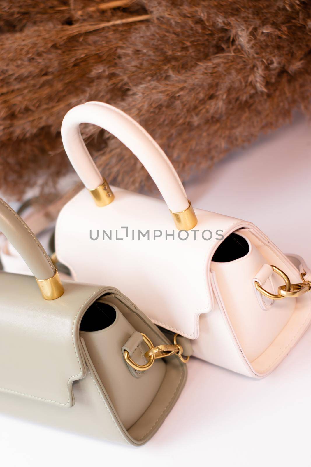 fashion photo of two purse. beige and green woman handbag with gold chain on background of pampas grass or dried flowers. isolated on white background. Product composition photography by oliavesna