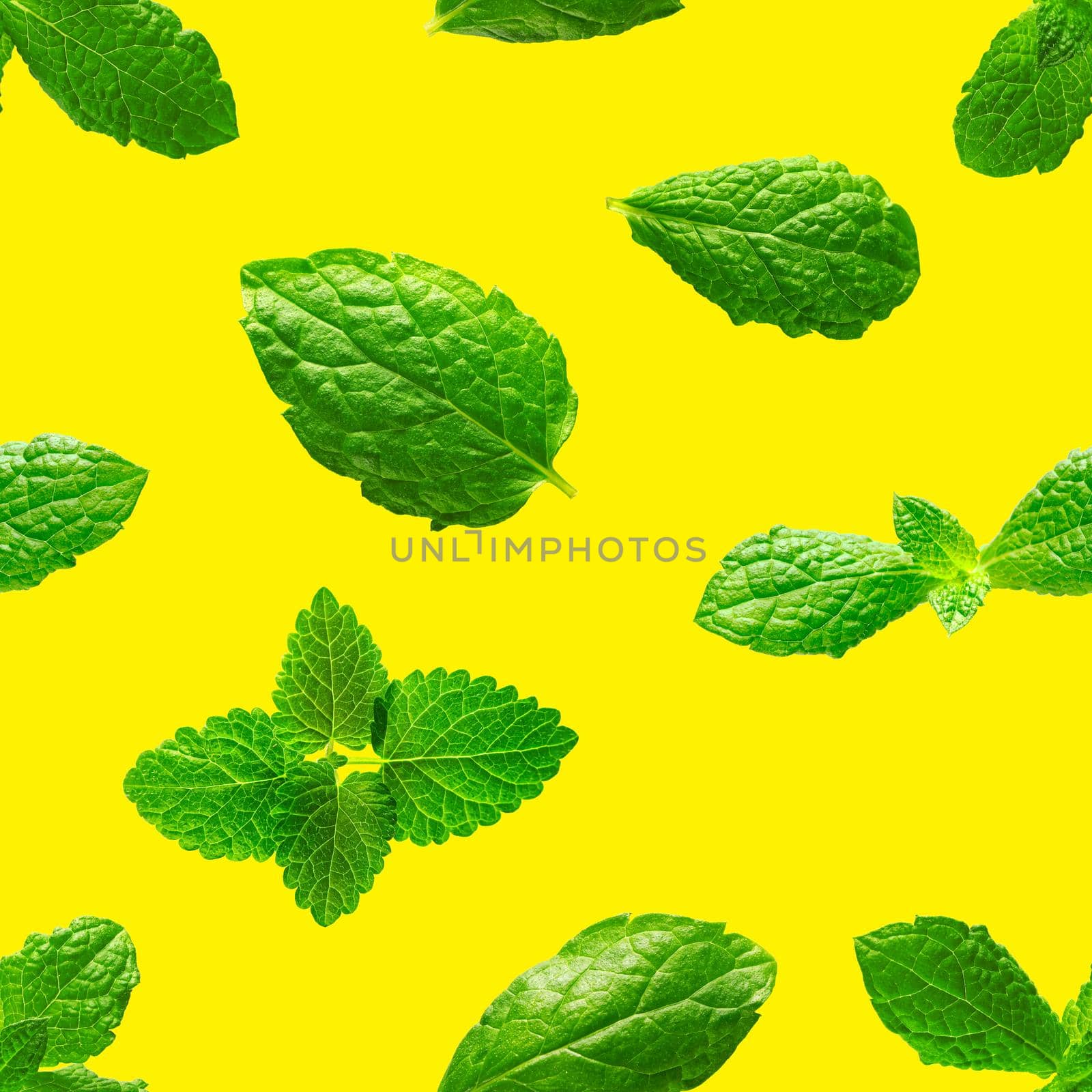 Seamless pattern of fresh mint leaves on yellow background by PhotoTime