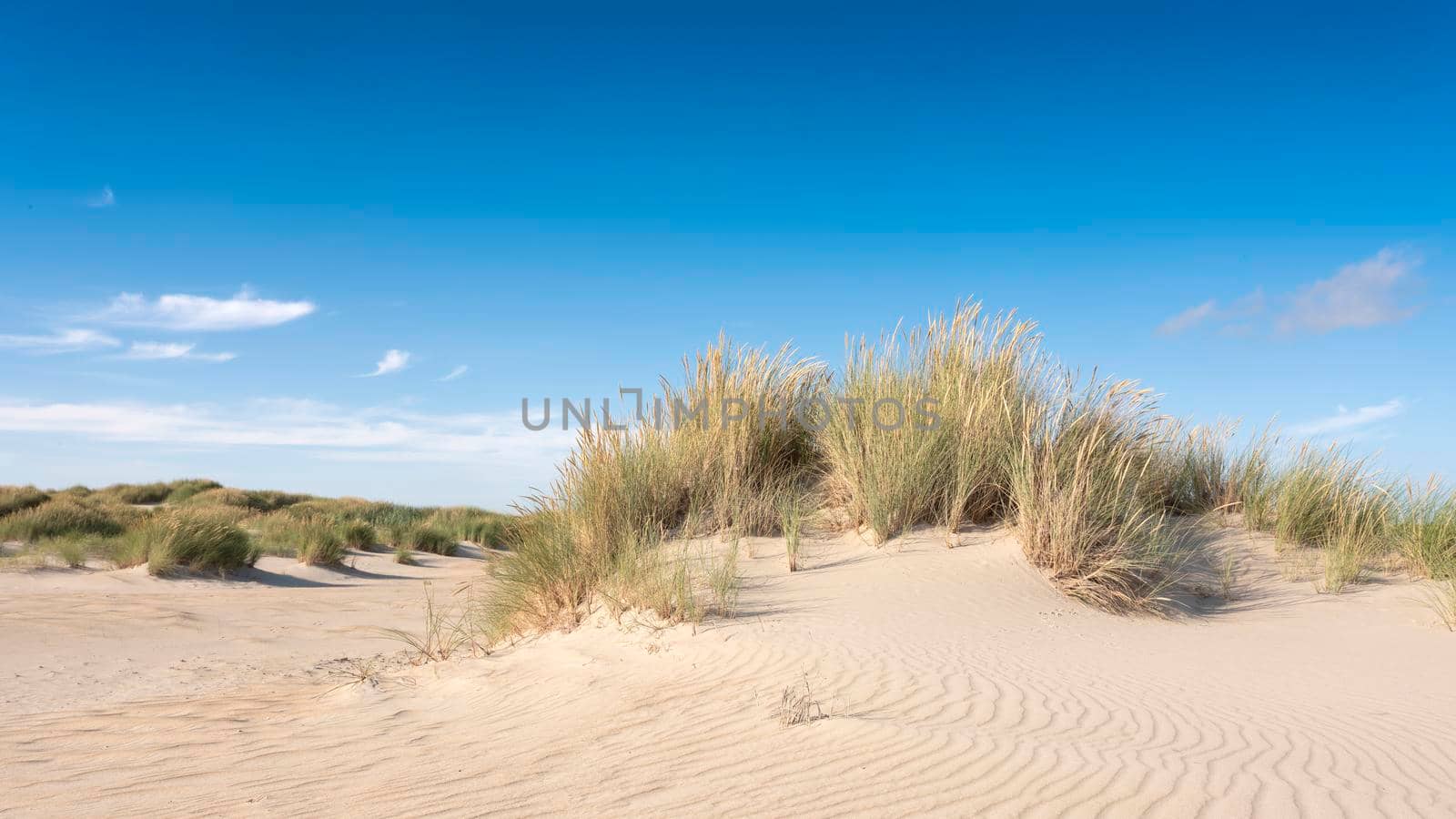 dutch wadden islands have many deserted sand dunes uinder blue summer sky in the netherlands by ahavelaar
