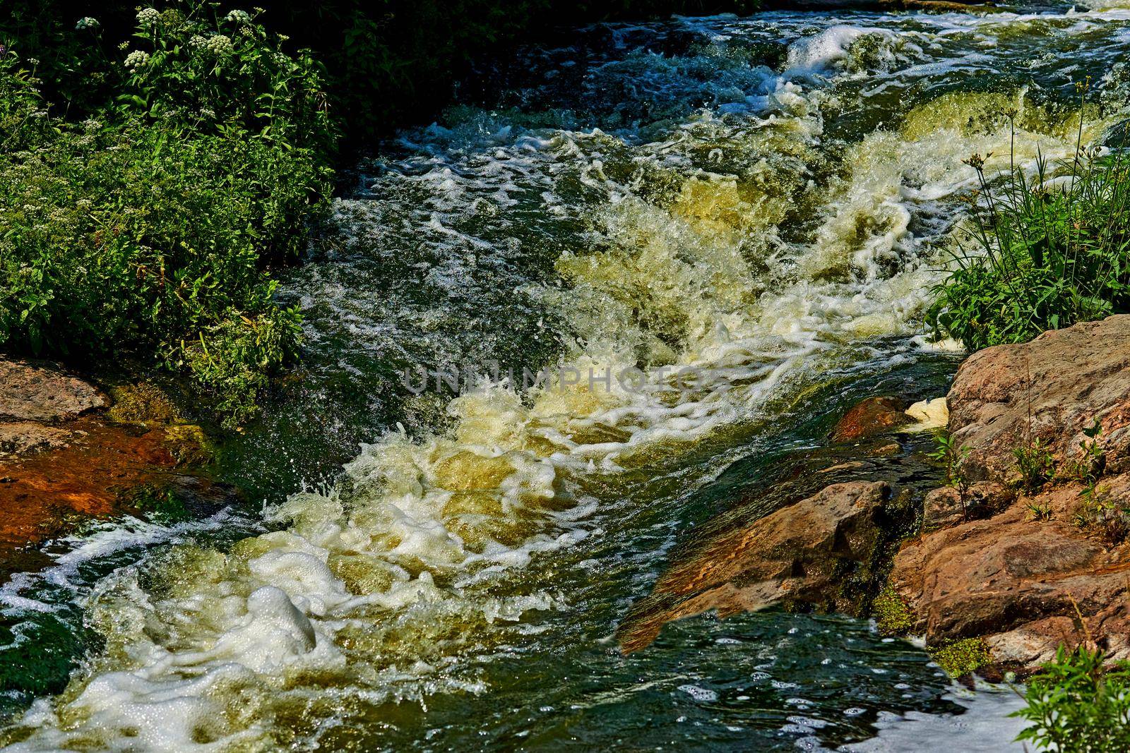 Stormy fast foaming stream of a strong mountain river on a warm day by jovani68