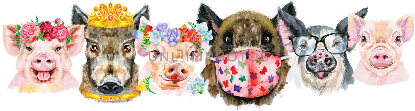 Cute border from watercolor portraits of pigs. Watercolor illustration of pigs in wreath of peonies, glasses, medical mask and golden crown