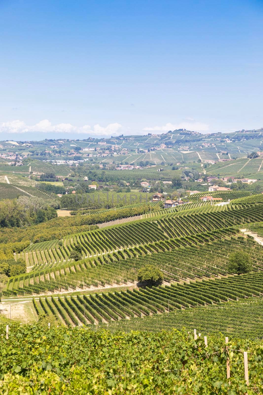 Panoramic countryside in Piedmont region, Italy. Scenic vineyard hill close to Barolo.