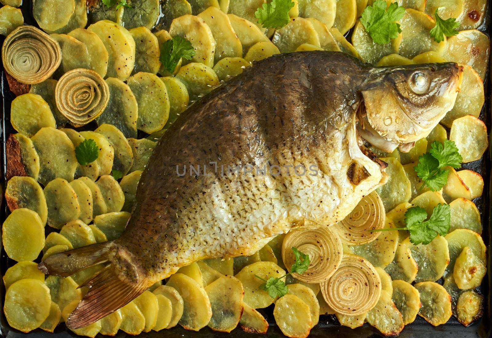 Baked carp, whole fish from the oven with sliced potatoes, parsley on large tray. Traditional European Polish dish, suitable for a Christmas table, top view, close up