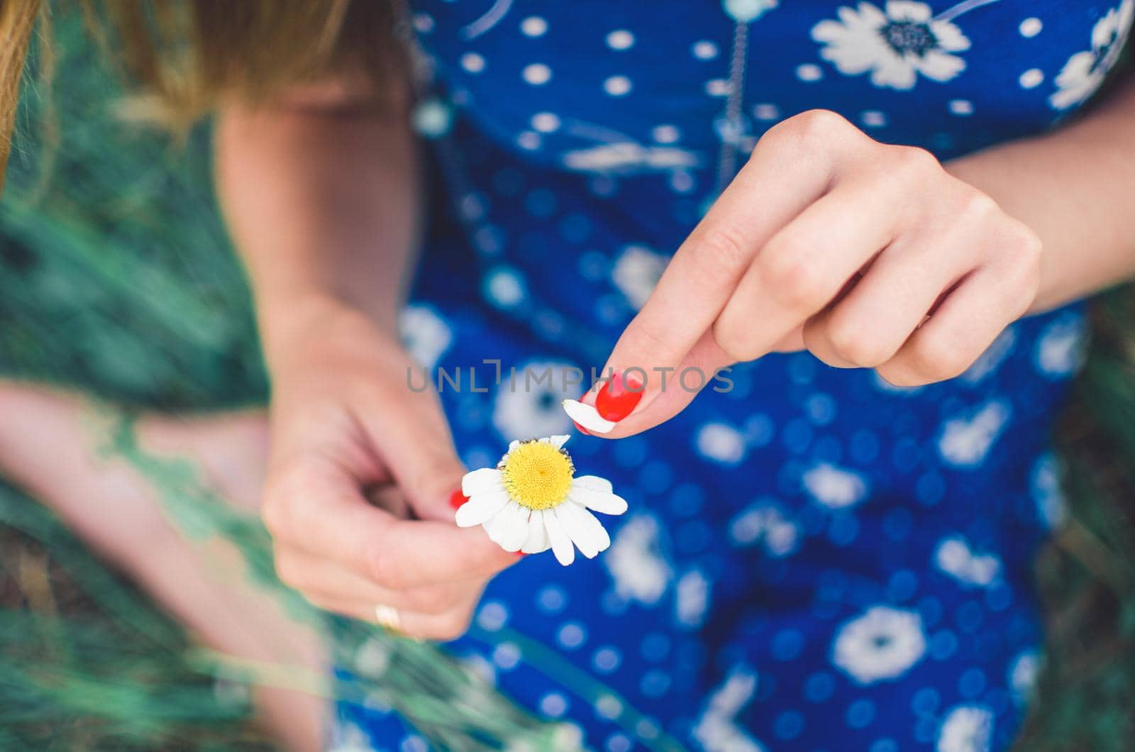 A young smiling, European girl, blonde with fair skin, holds a daisy flower in her hands and tears off the petals. Women's blue short skin-tight dress with white daisy print. Red manicure