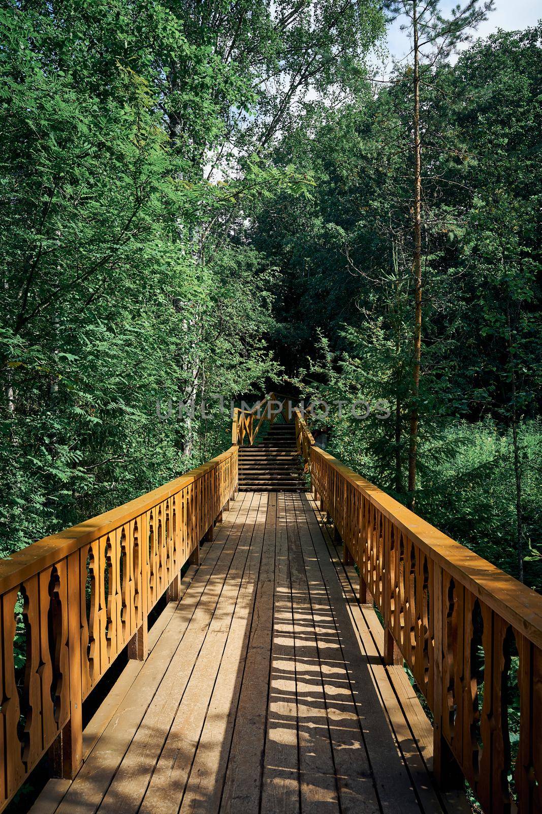 wooden stairs among the trees, summer nature, rest in the country by NataBene