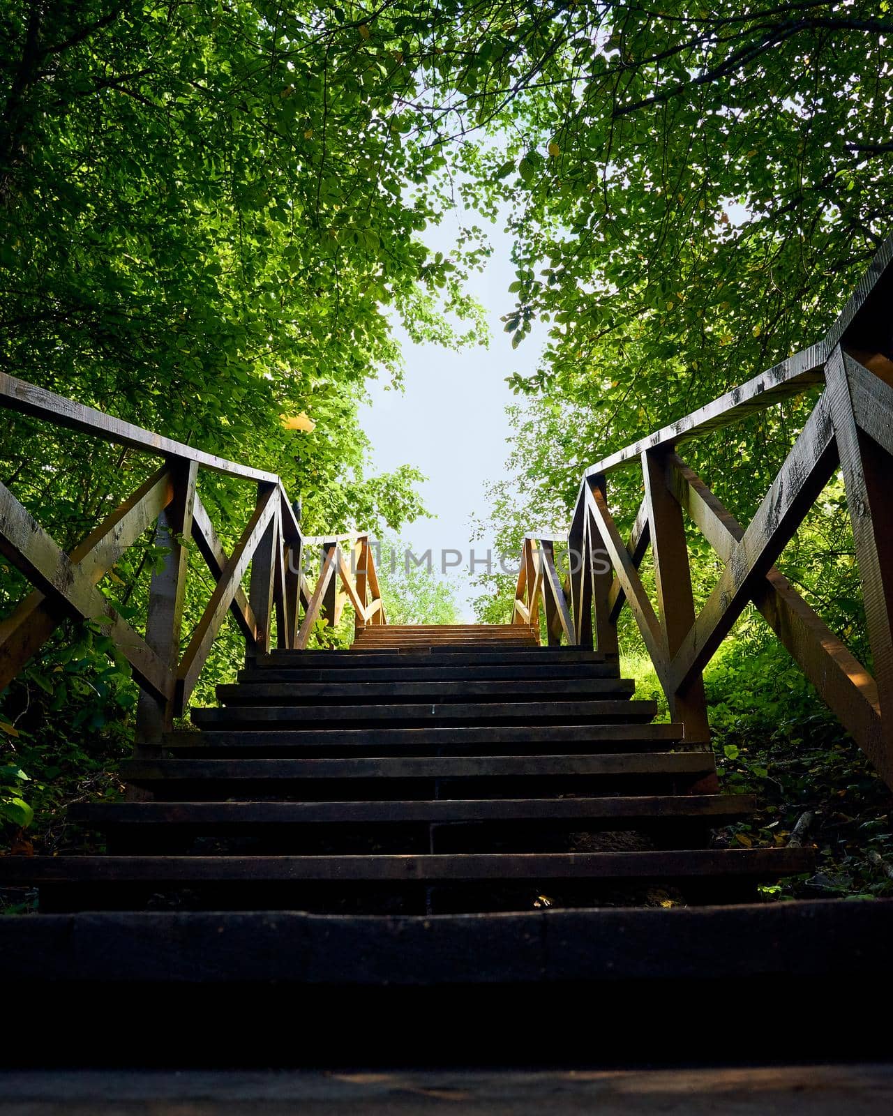 path, road from darkness to light, blue sky, a wooden ladder among trees, summer nature by NataBene