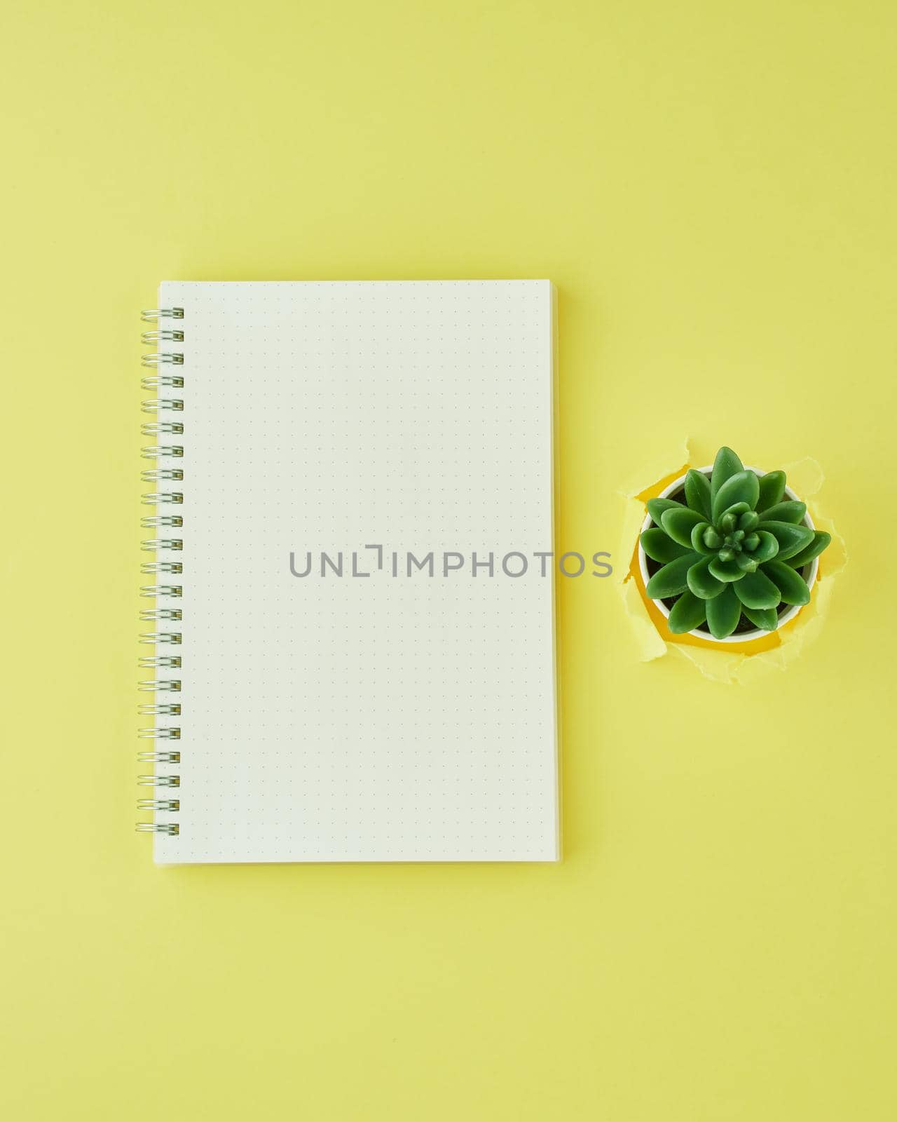 Blank notepad page in bullet journal on bright yellow office desktop. Top view of modern bright table with notebook, minimalism. Mock up, copy space, concept for diary by NataBene