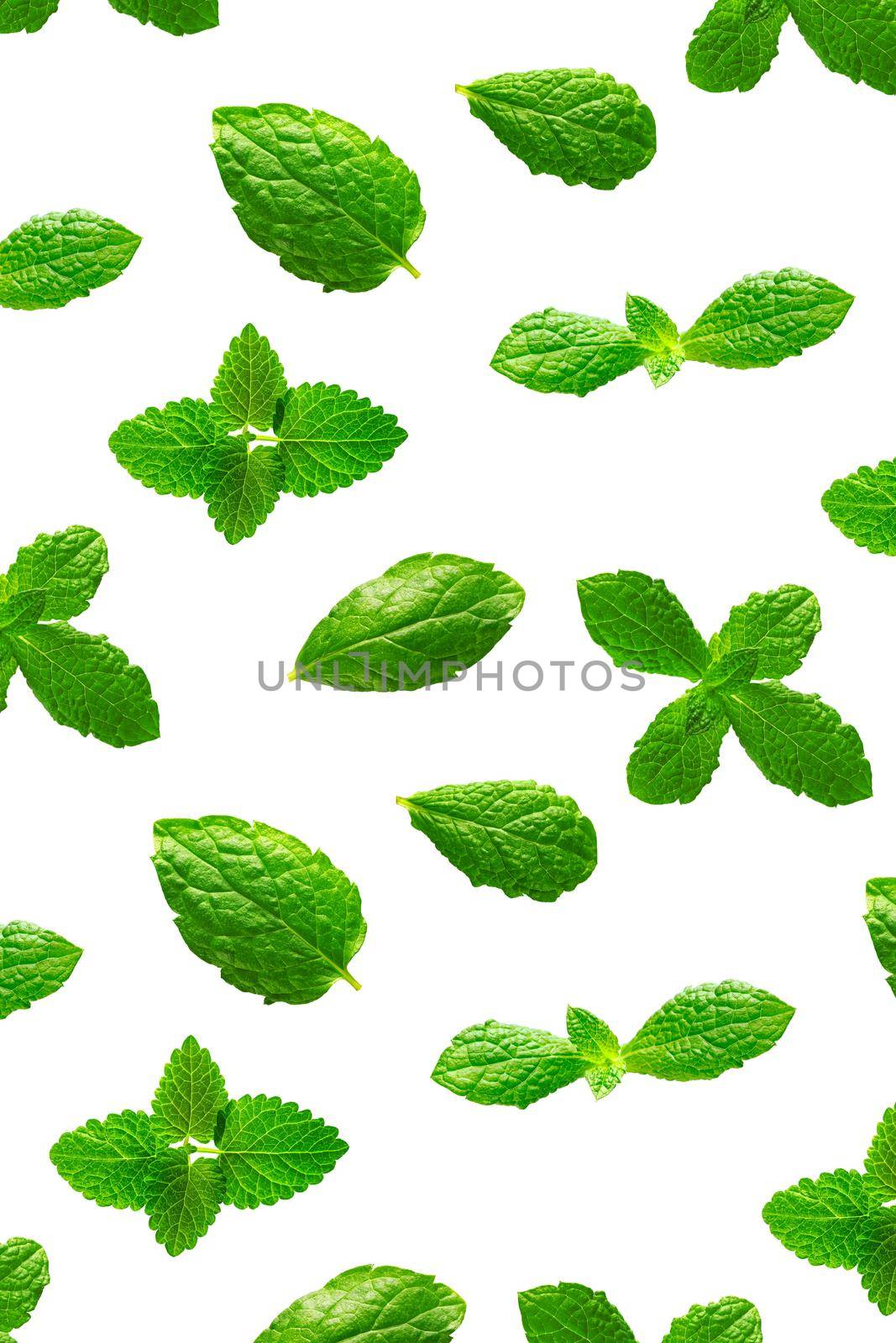 Background of fresh mint leaves on white backdrop by PhotoTime