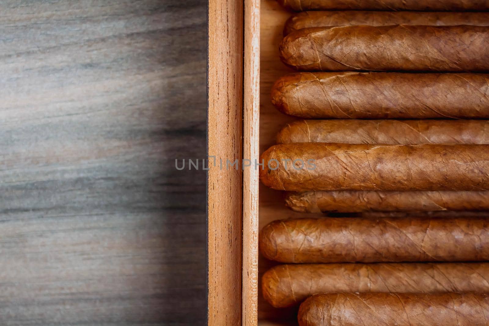 Cigars in humidor on the wooden background