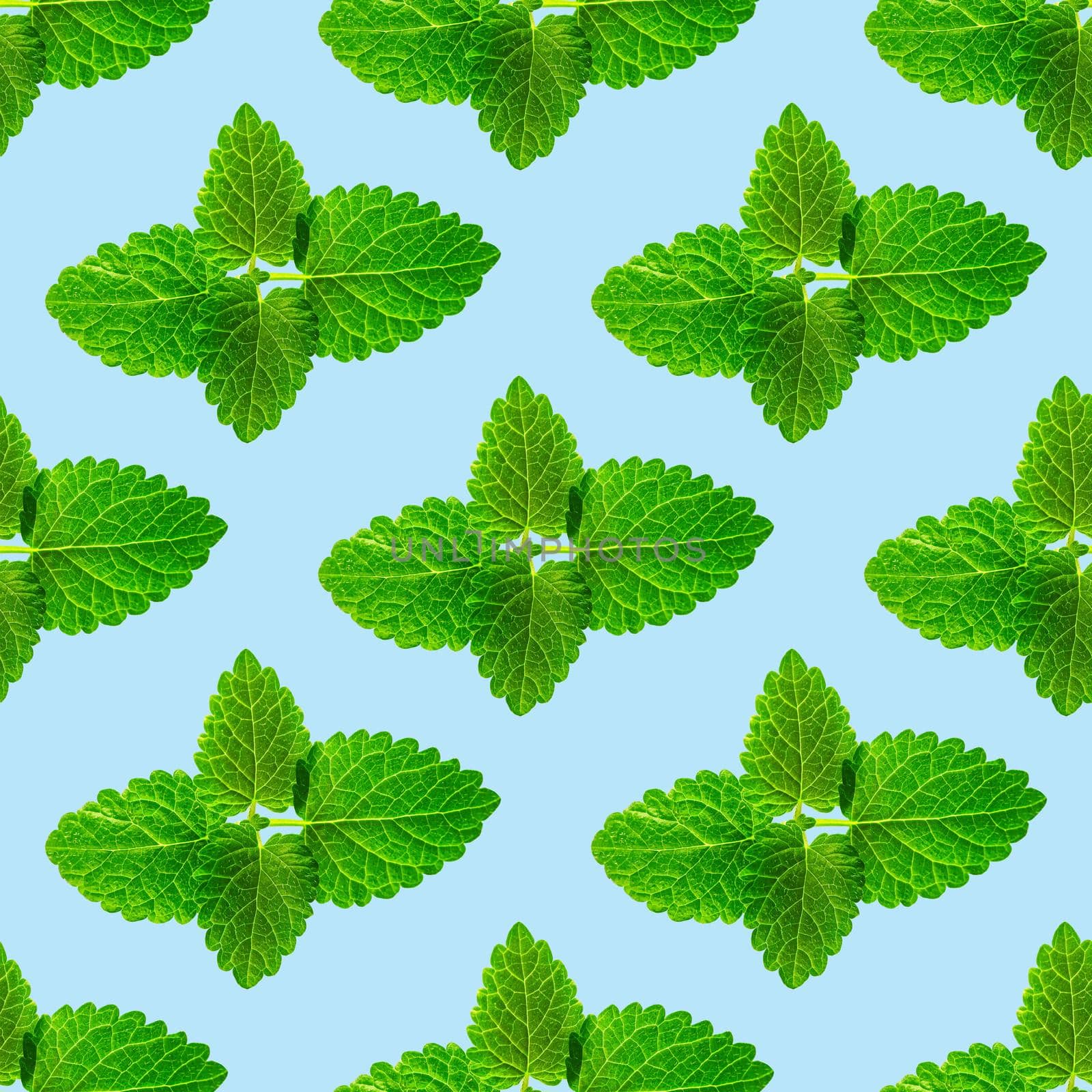 Seamless pattern of fresh mint leaves on blue background by PhotoTime