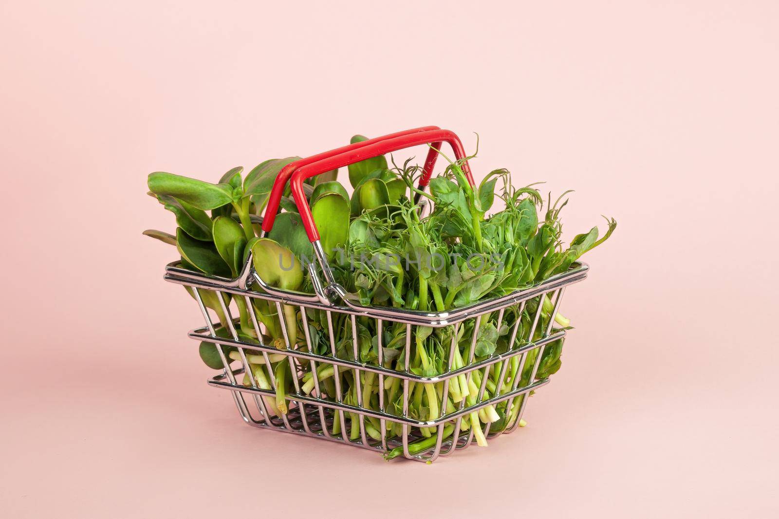 Micro greens in a basket on a pink background. Sale of various types of microgreens. The concept of healthy eating from fresh garden products grown organically a symbol of health Vitamins from nature.