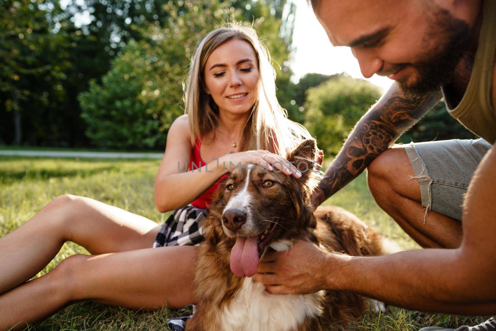 Young happy couple playing with their dog smiling in park, close up