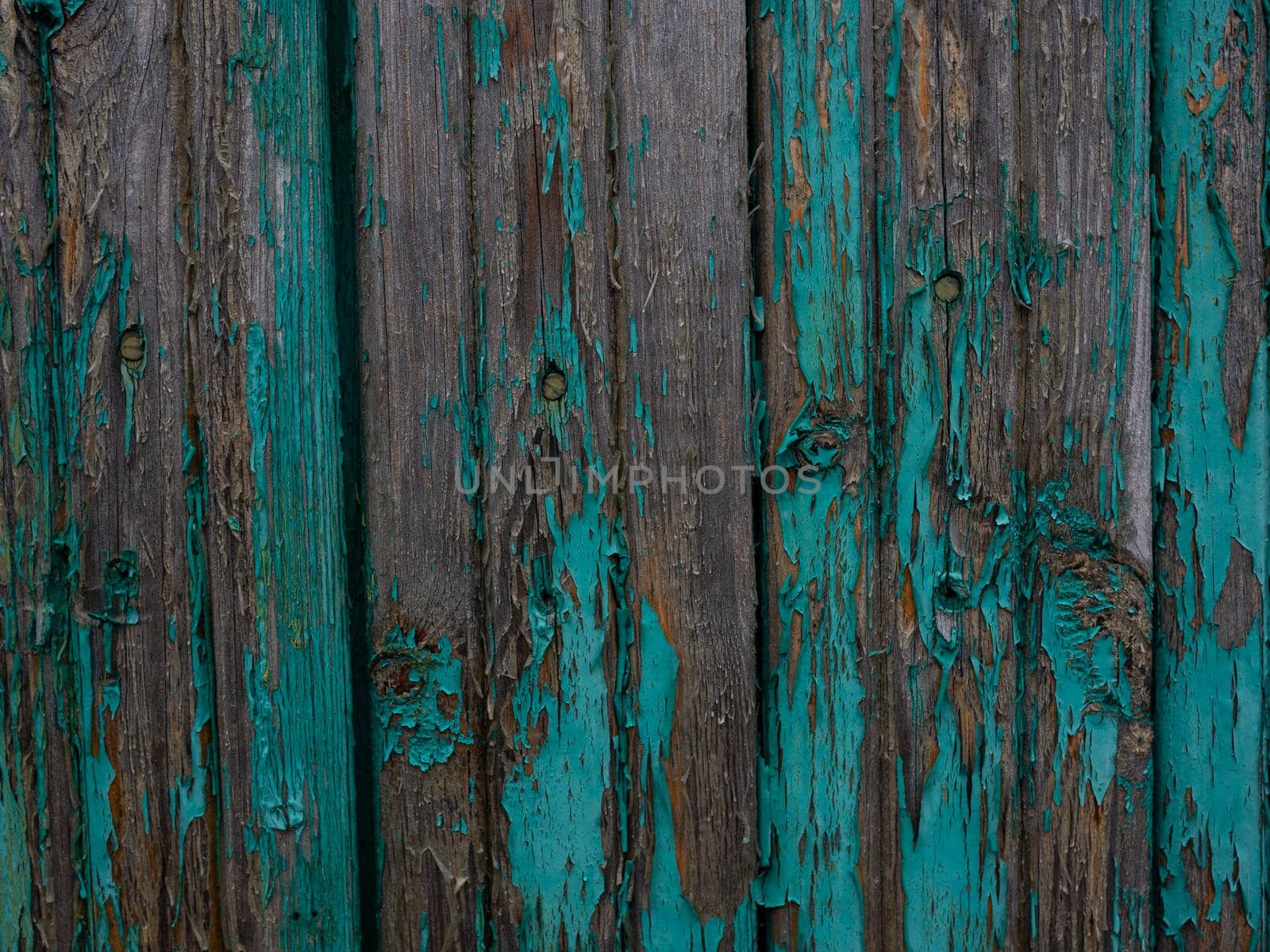 Close-up of green fence boards in the yard. Wooden texture. Fence.