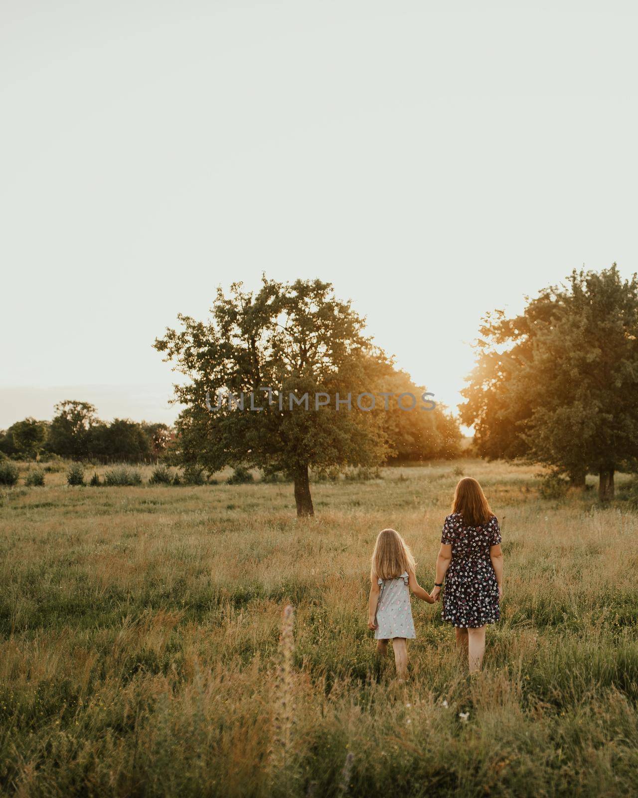 European family mom and daughter walk holding hands Along the tall green grass towards the sunset in summer. meadow and tall trees through which the rays of the sun make their way