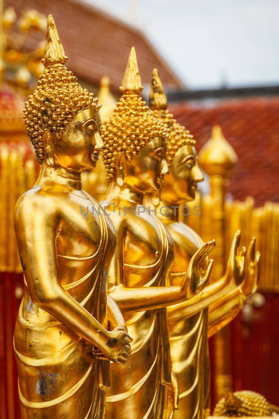 Gold Buddha statues in Wat Phra That Doi Suthep, Chiang Mai, Thailand