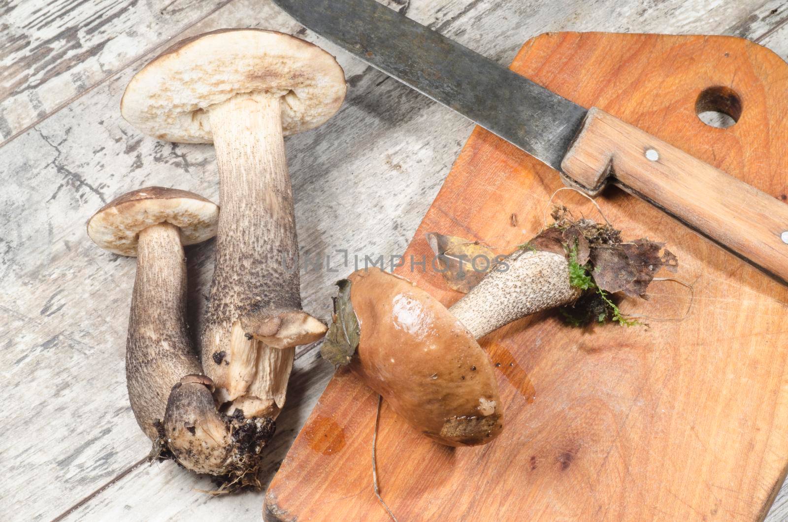 Wild mushrooms on cutting board. From the series "Mushrooms in our kitchen"