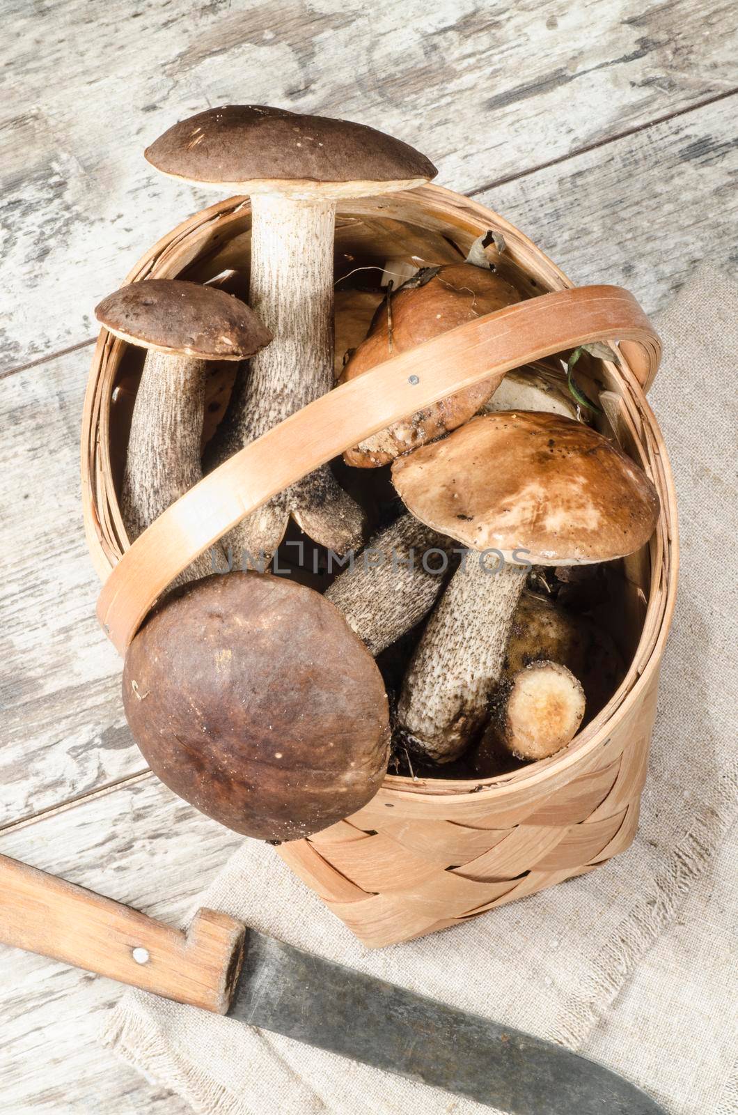 Wild mushrooms in basket. From the series "Mushrooms in our kitchen"