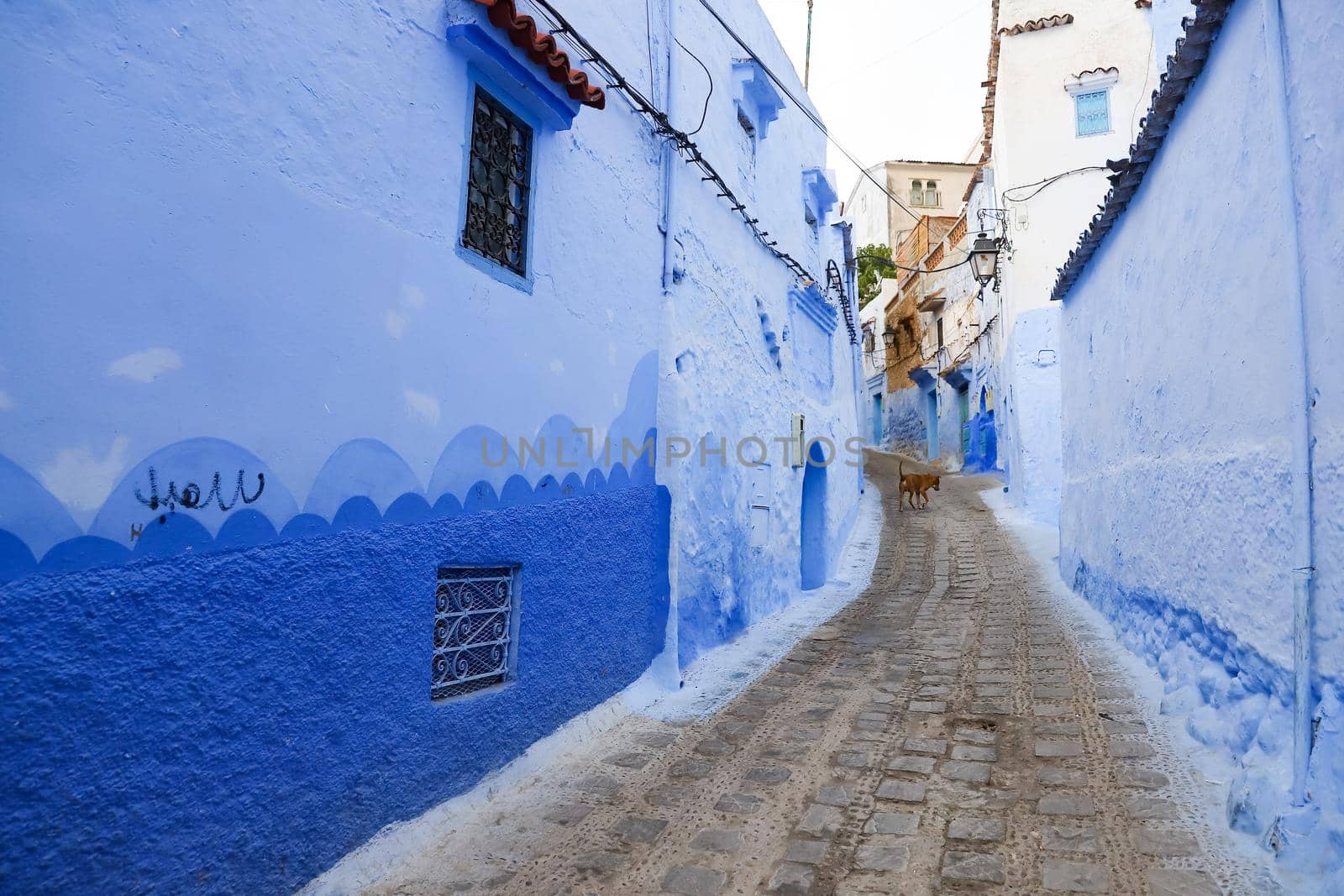 A Street in Blue Chefchaouen City, Morocco