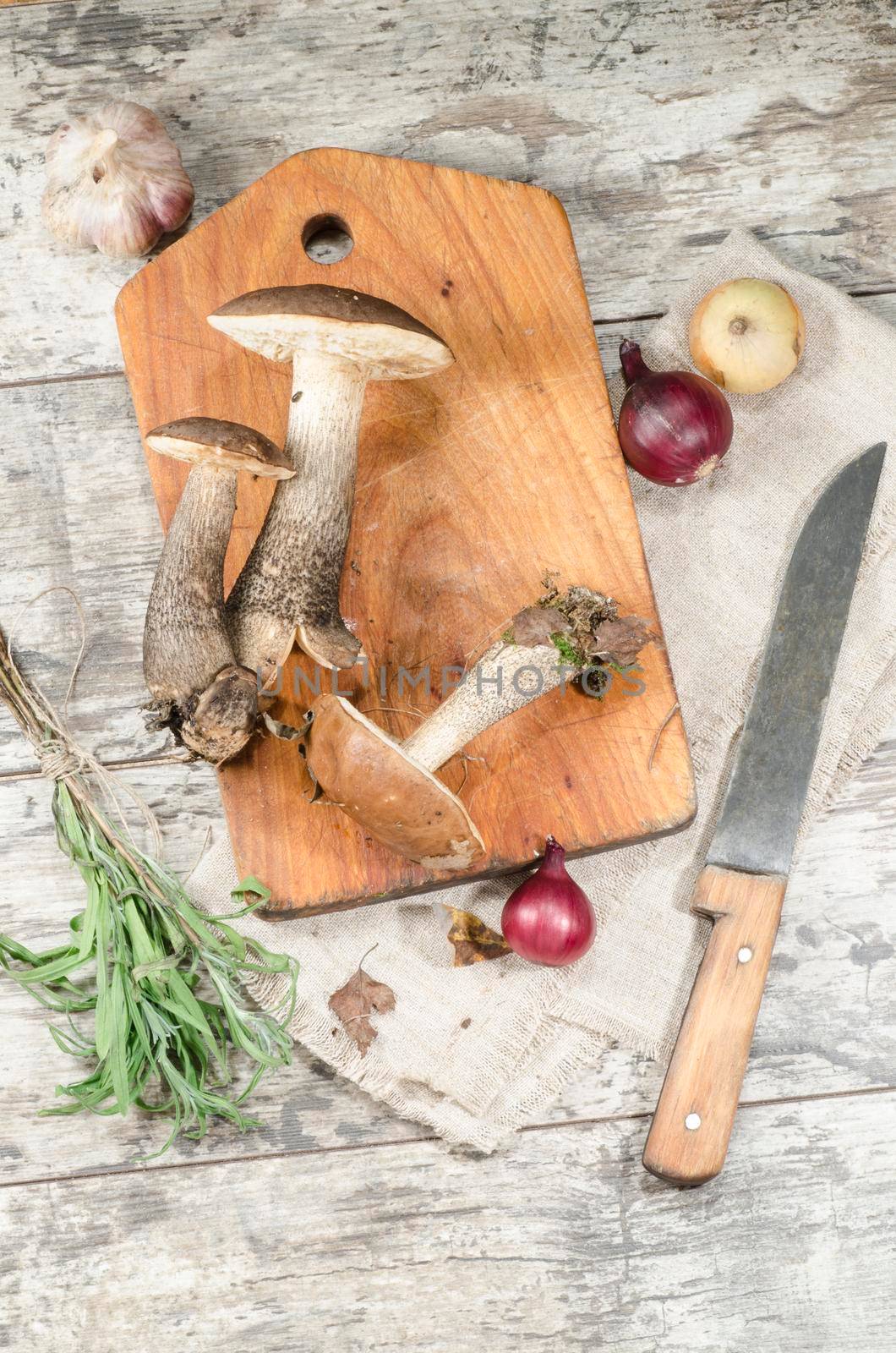 Wild mushrooms on cutting board. From the series "Mushrooms in our kitchen"
