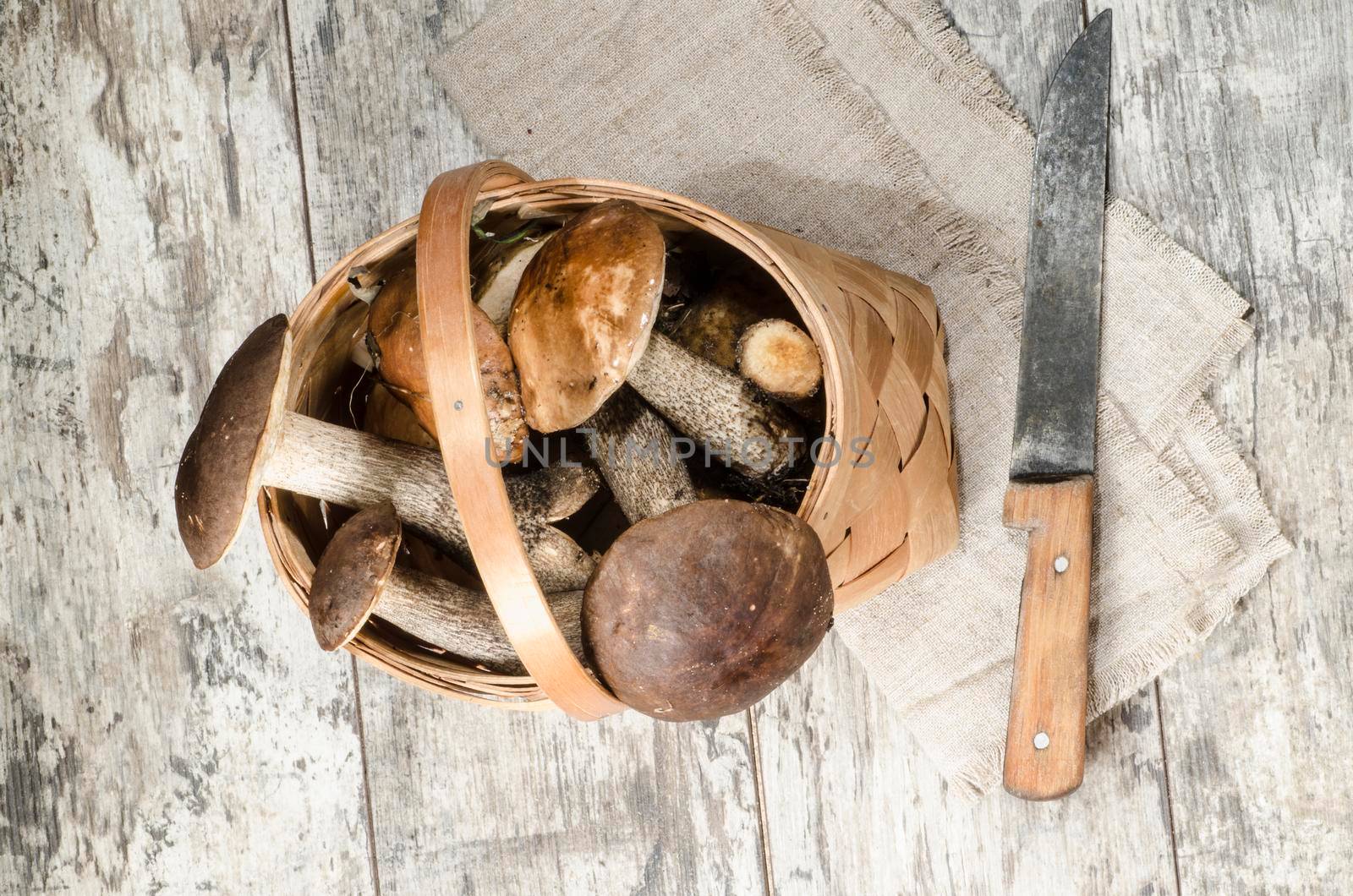 Wild mushrooms in basket. From the series "Mushrooms in our kitchen"