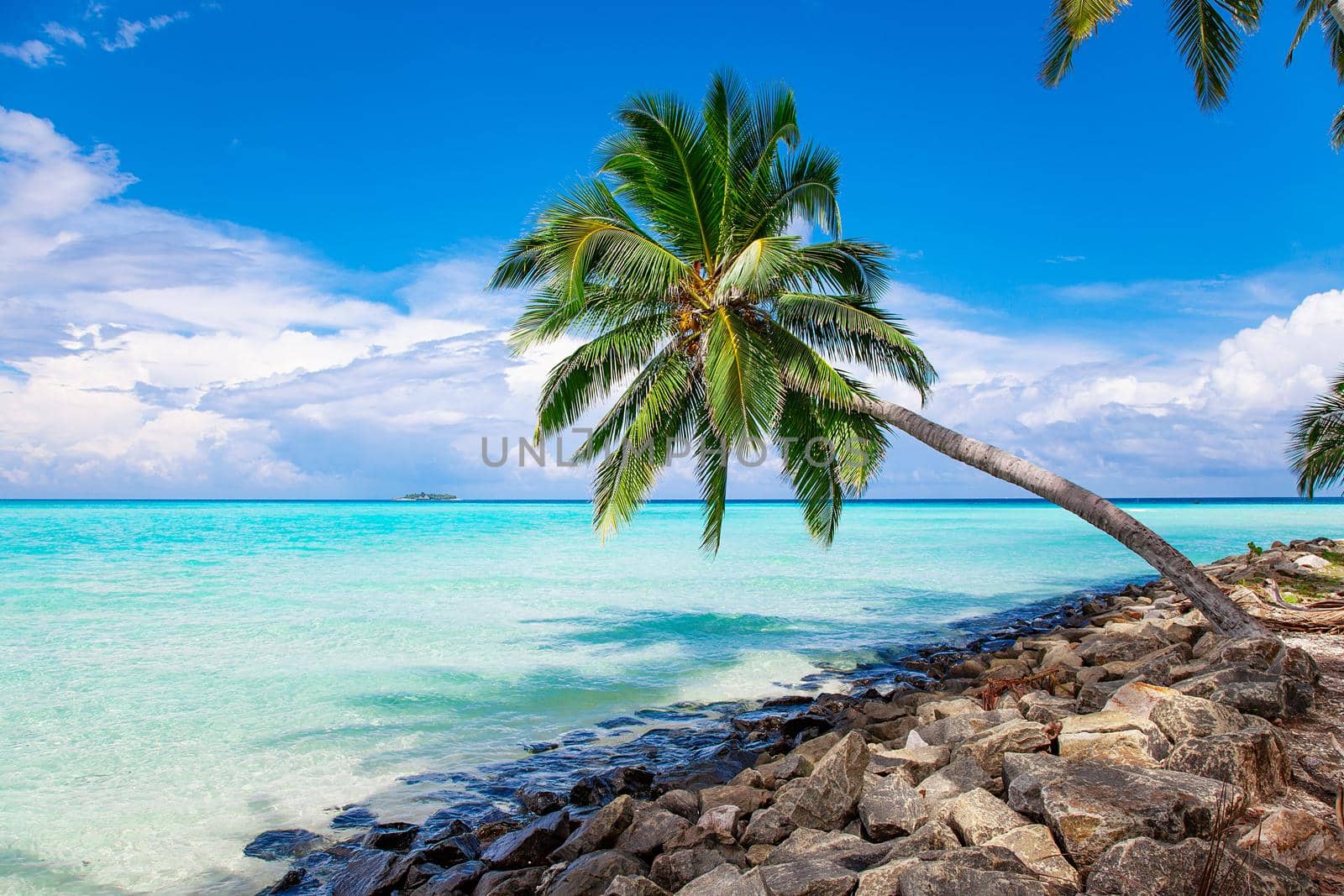 Maldive Islands Sand Beach and green palm foliage view by kisika